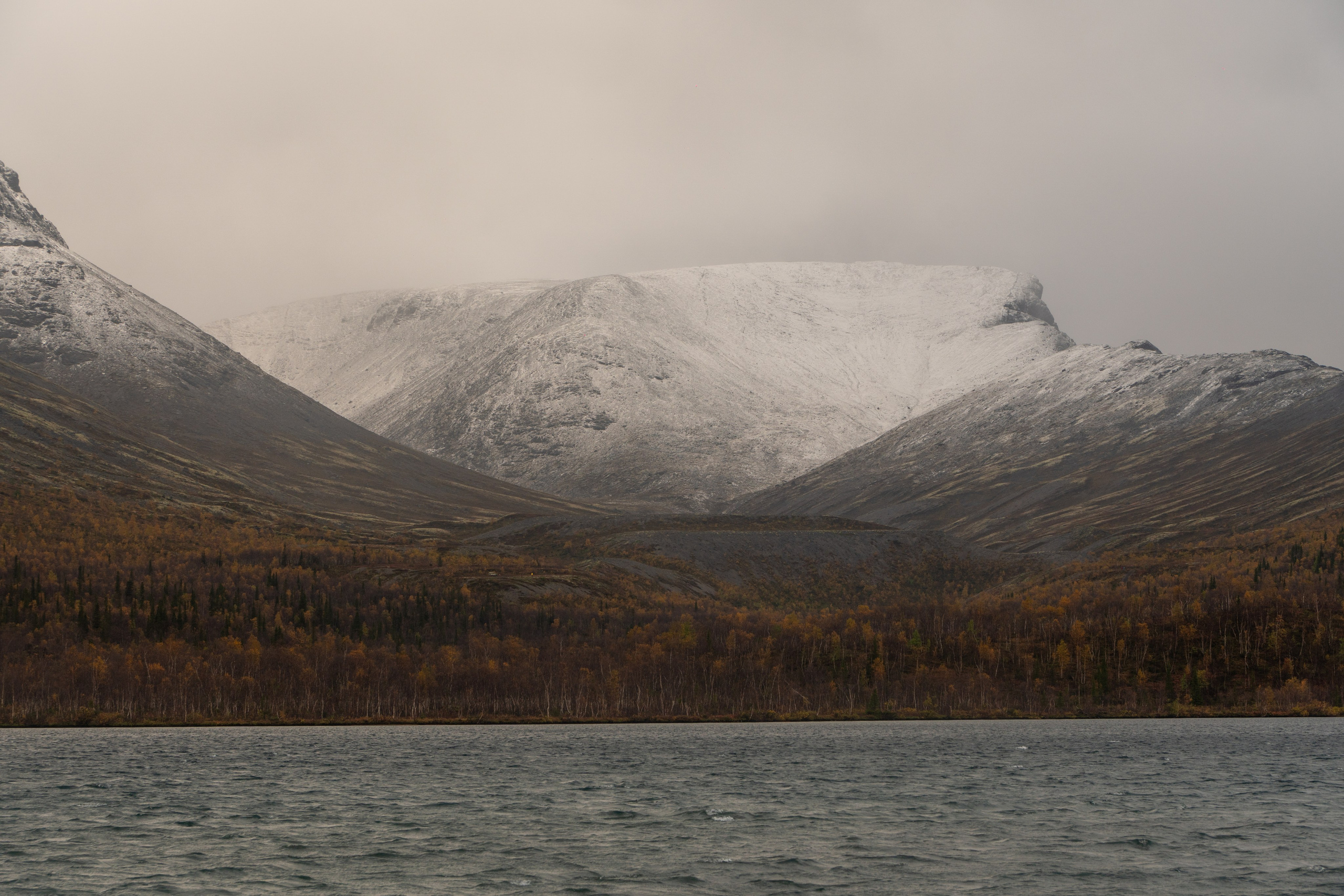 Золотая осень в Хибинах. Daria wanderer photography