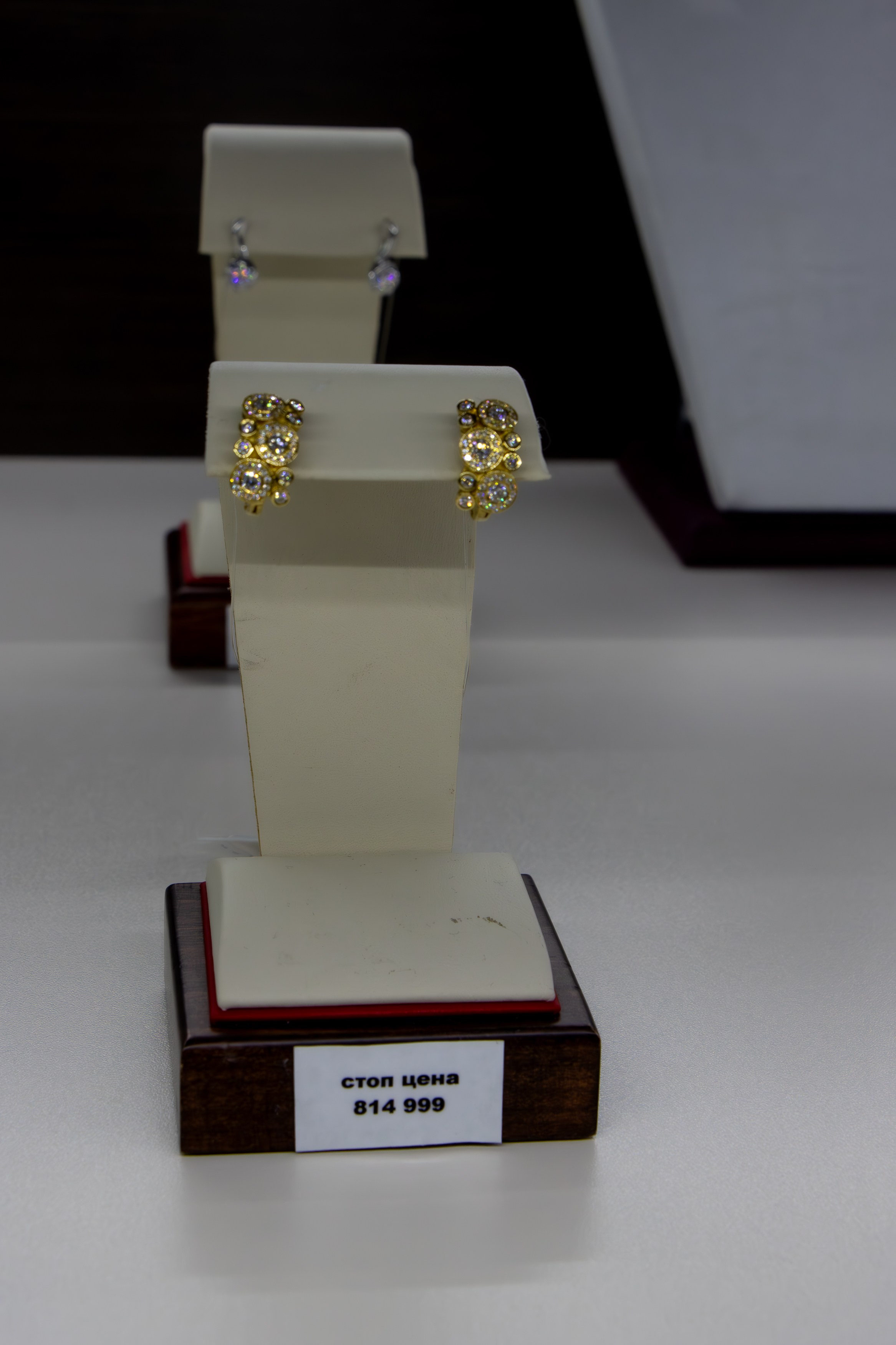 Мисс и Миссис Россия Земля в Изумруде Царском. Фотограф Татьяна Матрос