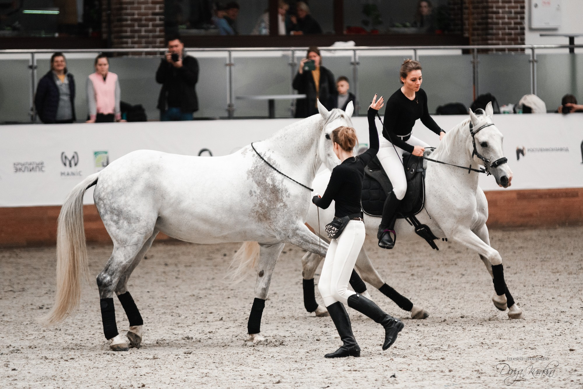 8-я международная выставка Конная Россия. Конный фотограф Куракина Дарья • Фотосессии с лошадьми