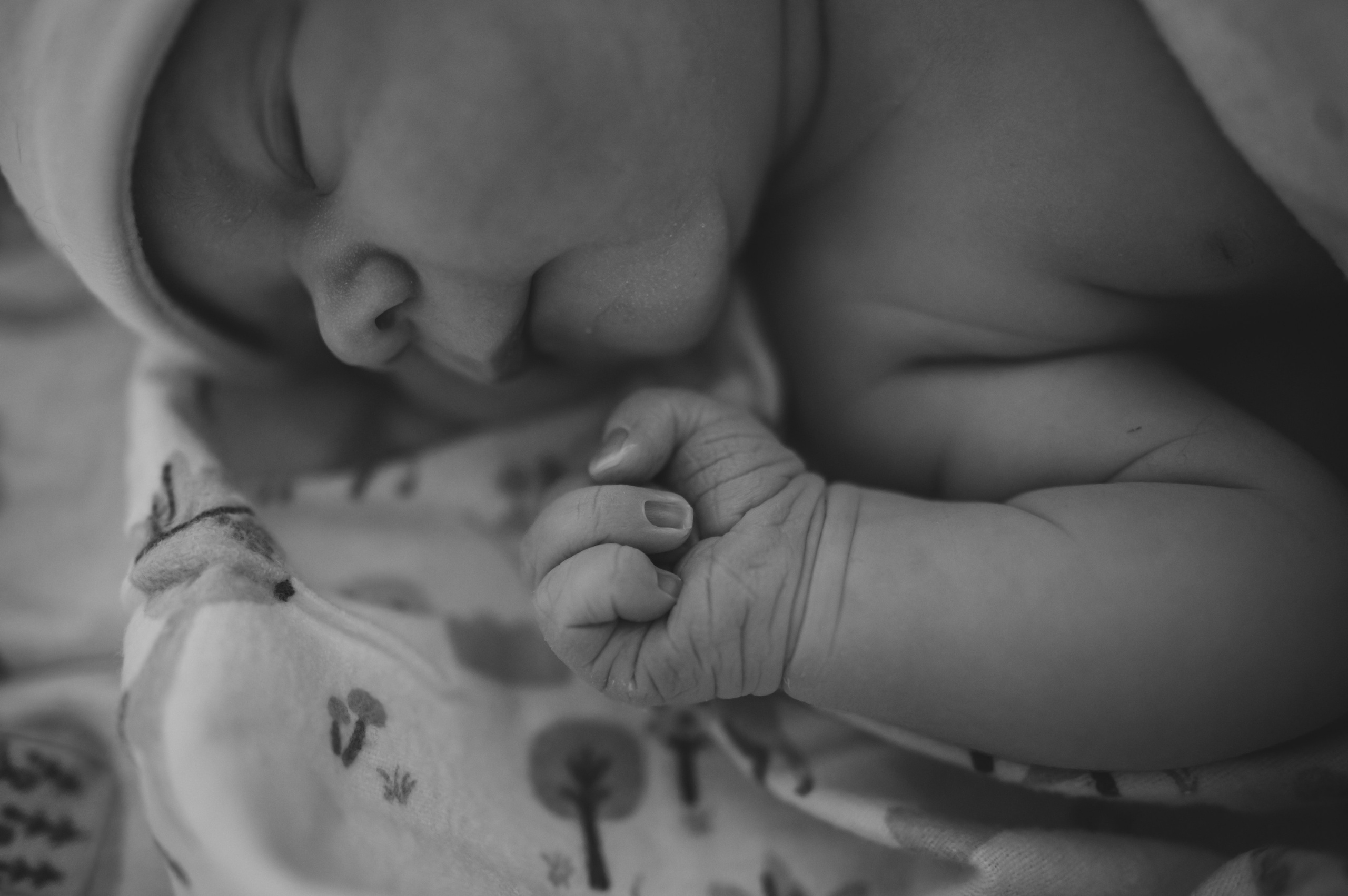 Полина. Фотограф Светлана Киселева