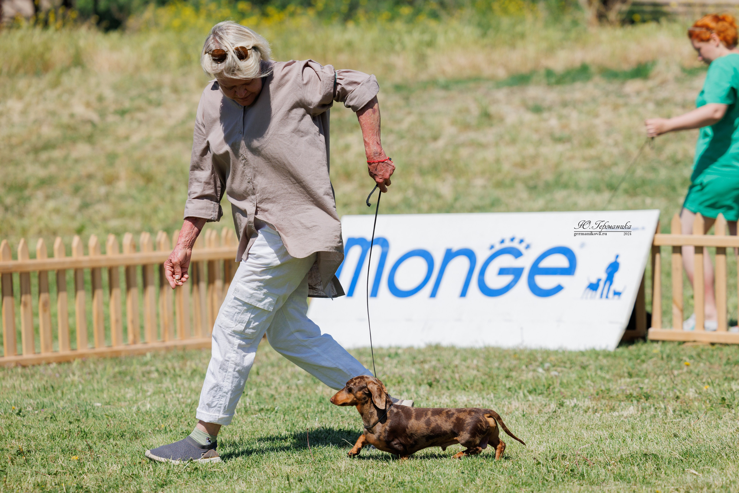 Ереван 3-5.06.2024. Фотограф-анималист Юлия Германика