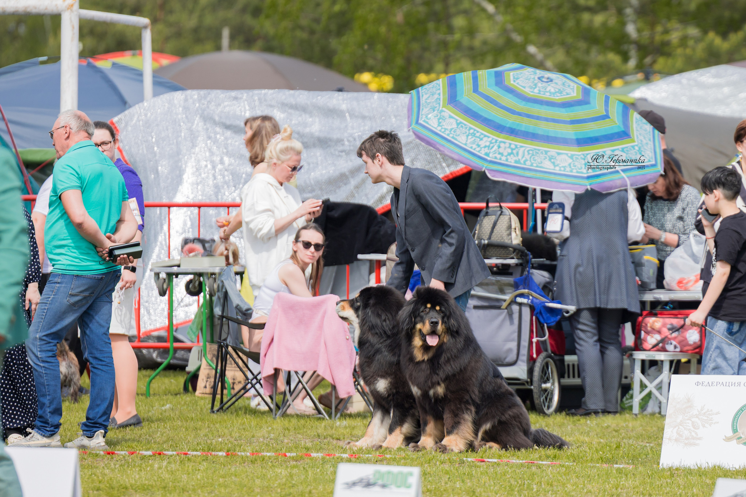 Суздаль(Владимир)17-18.05.2025. Фотограф-анималист Юлия Германика
