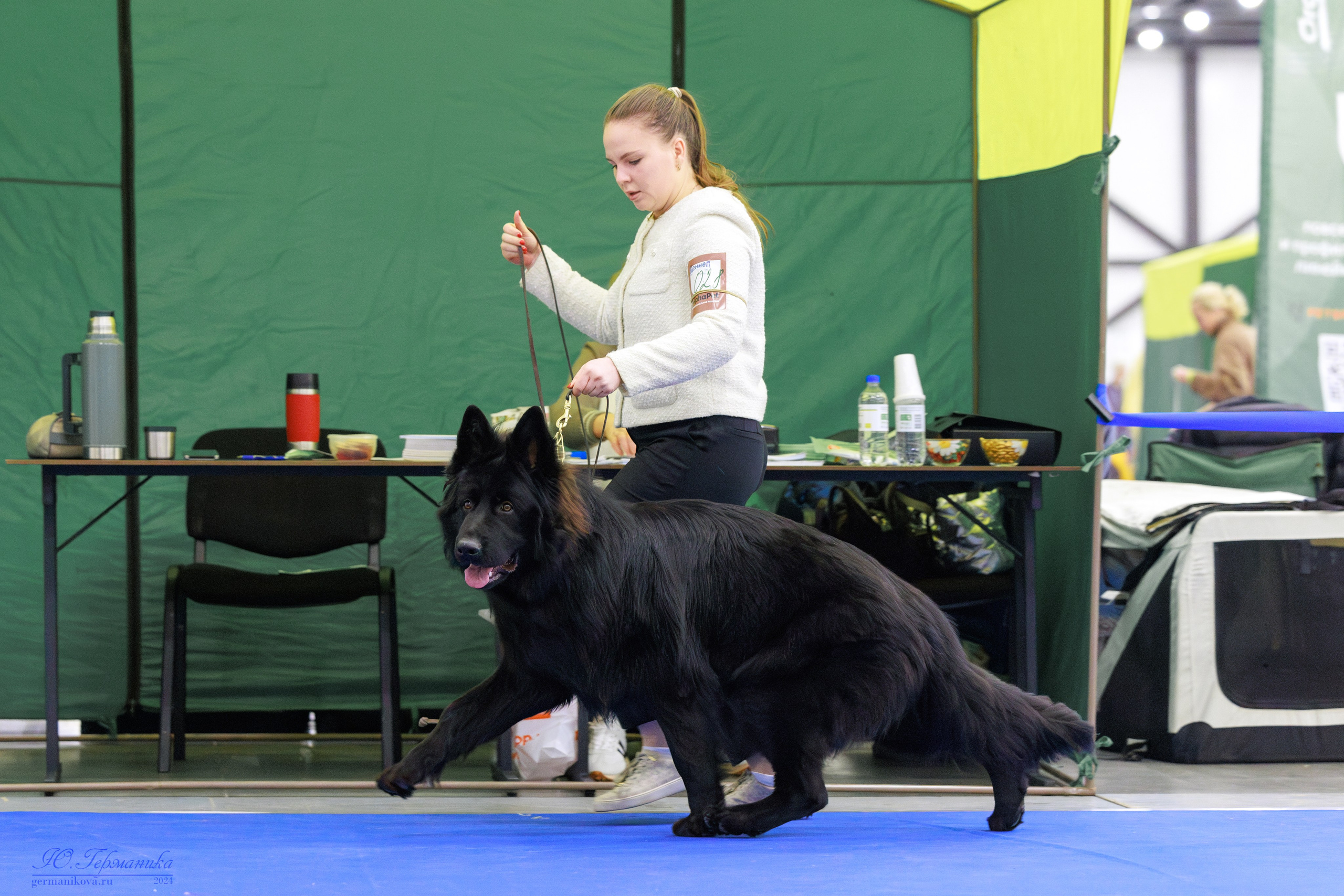 Санкт-Петербург 14.12.2024 ОС. Фотограф-анималист Юлия Германика