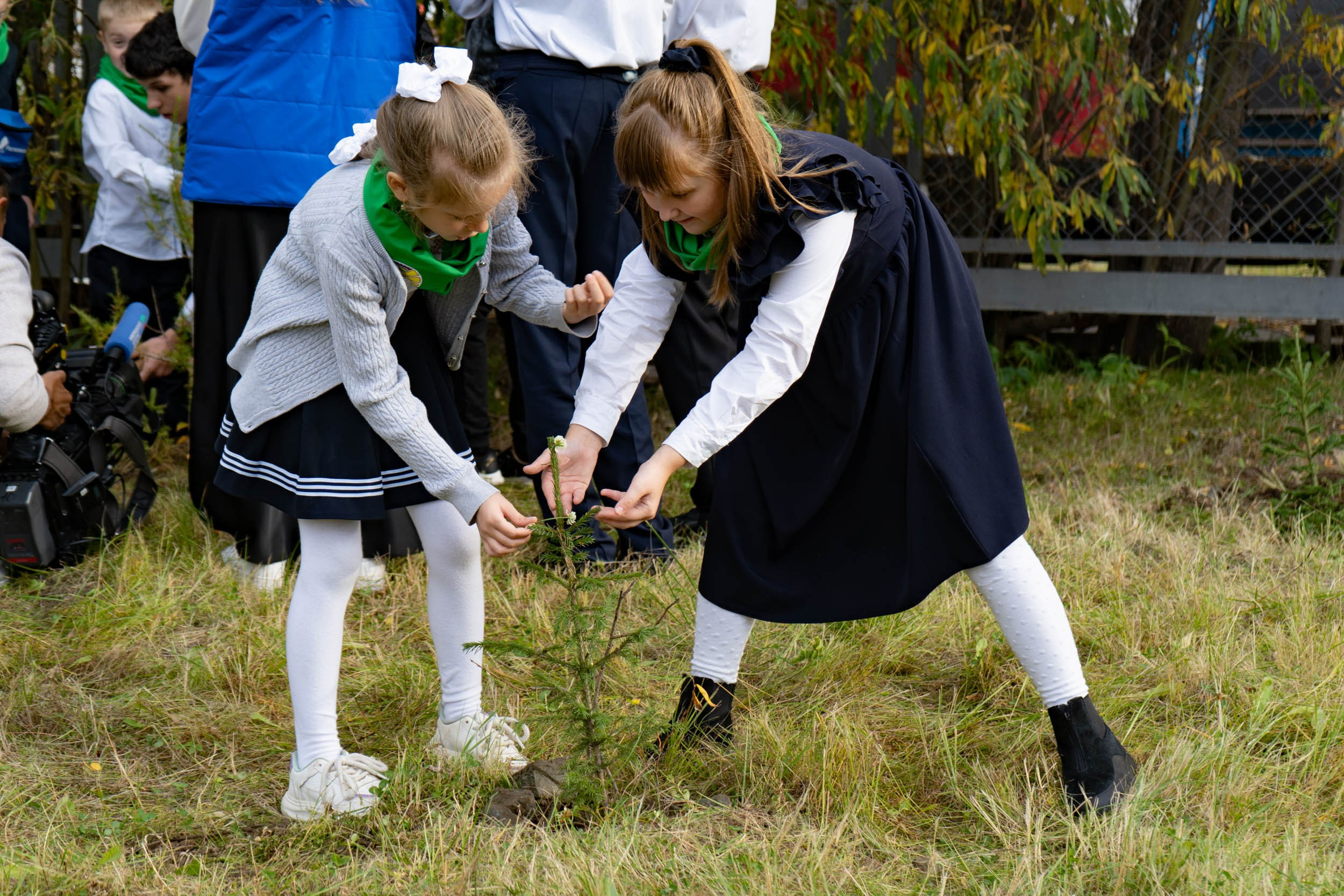 Высадка деревьев у школы. Фотограф Екатерина Зорина