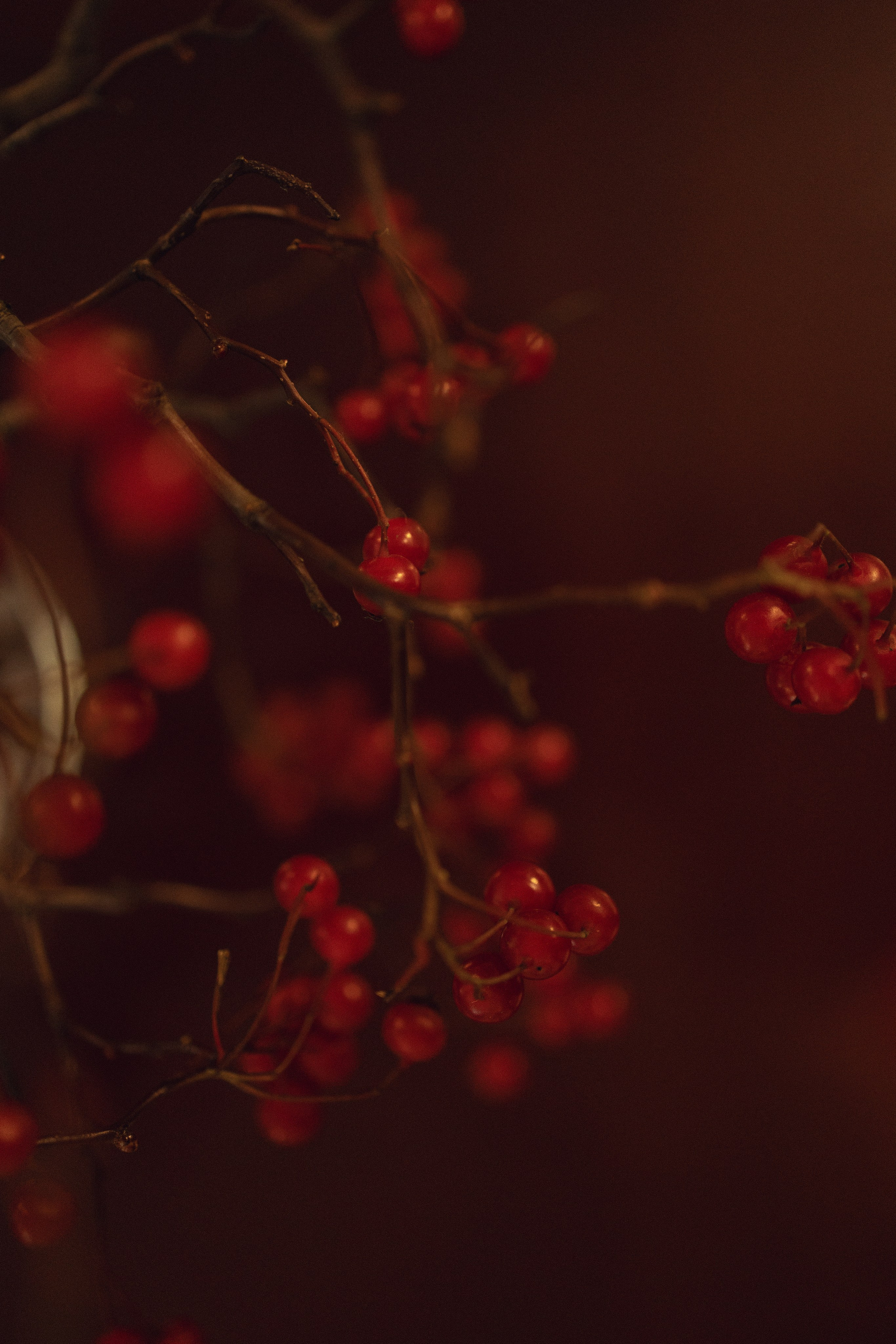 Danya | Masha. Свадебный и репортажный фотограф Анастасия Алашеева