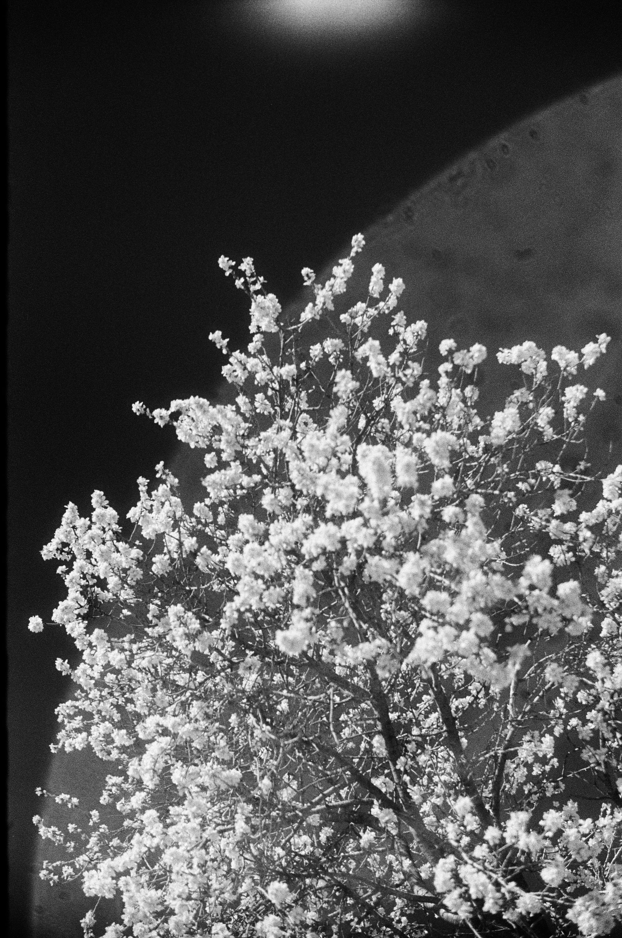 Test Film. Dmitriy [KCCC] is a pretty cool photographer