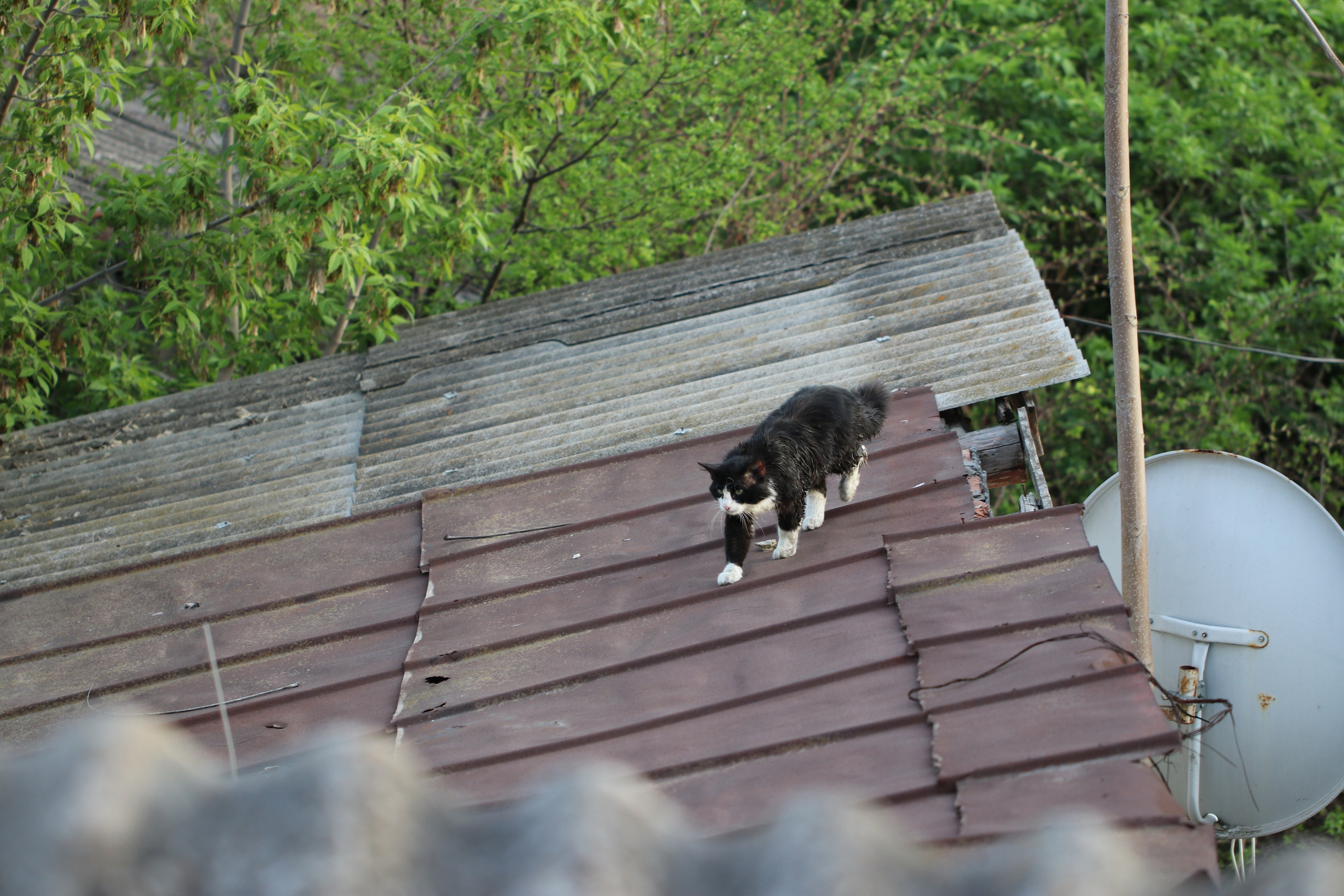 Крым. ЮБК (Бахчисарай, Кастрополь, Таракташская тропа). Май 2021. Путешественник-фотограф из Санкт-Петербурга Татьяна Свистулина