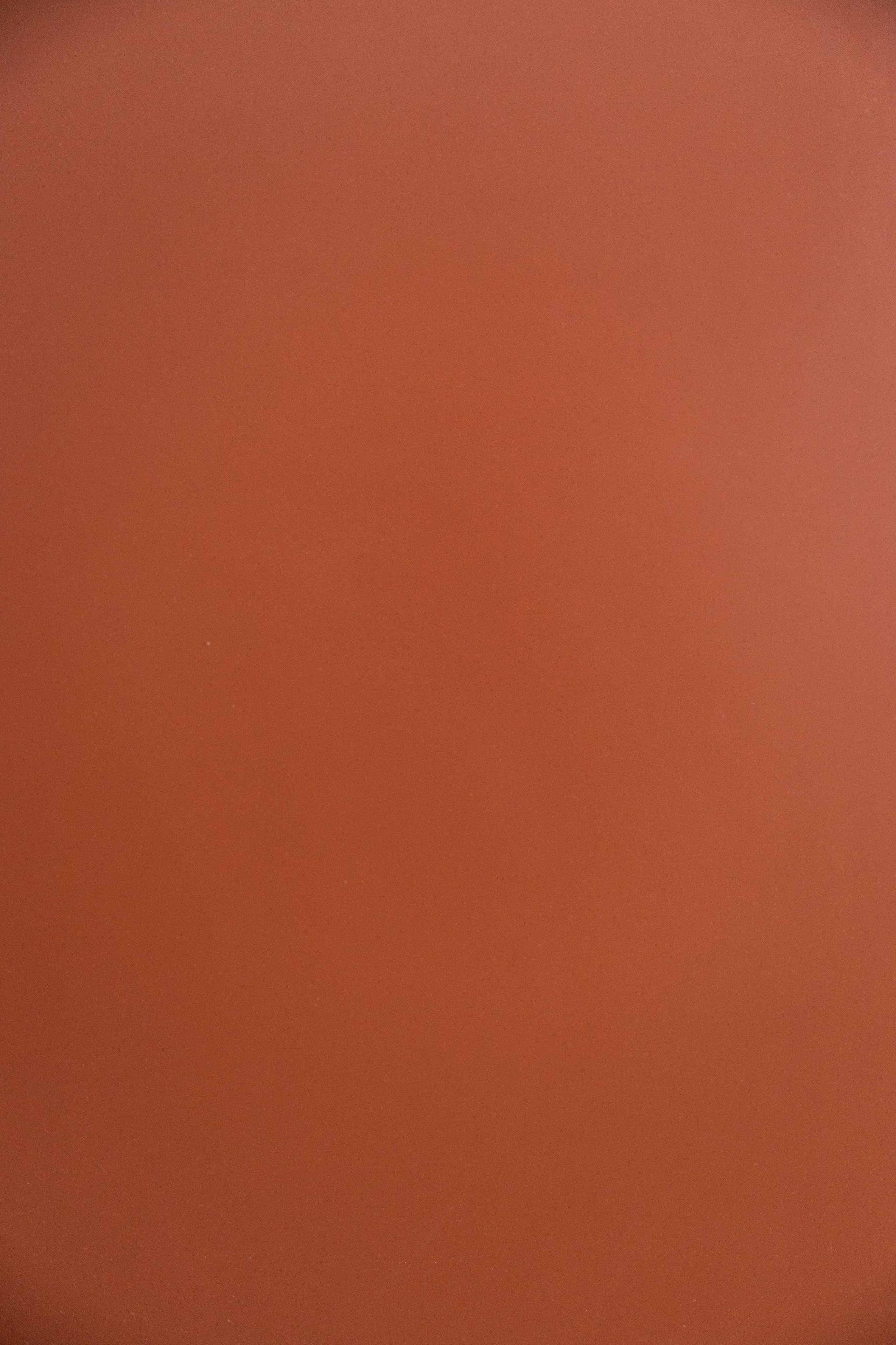 Никита и Ангелина, в ожидании малышки…. Свадебная и семейная фотография в Курске Адамян Давид