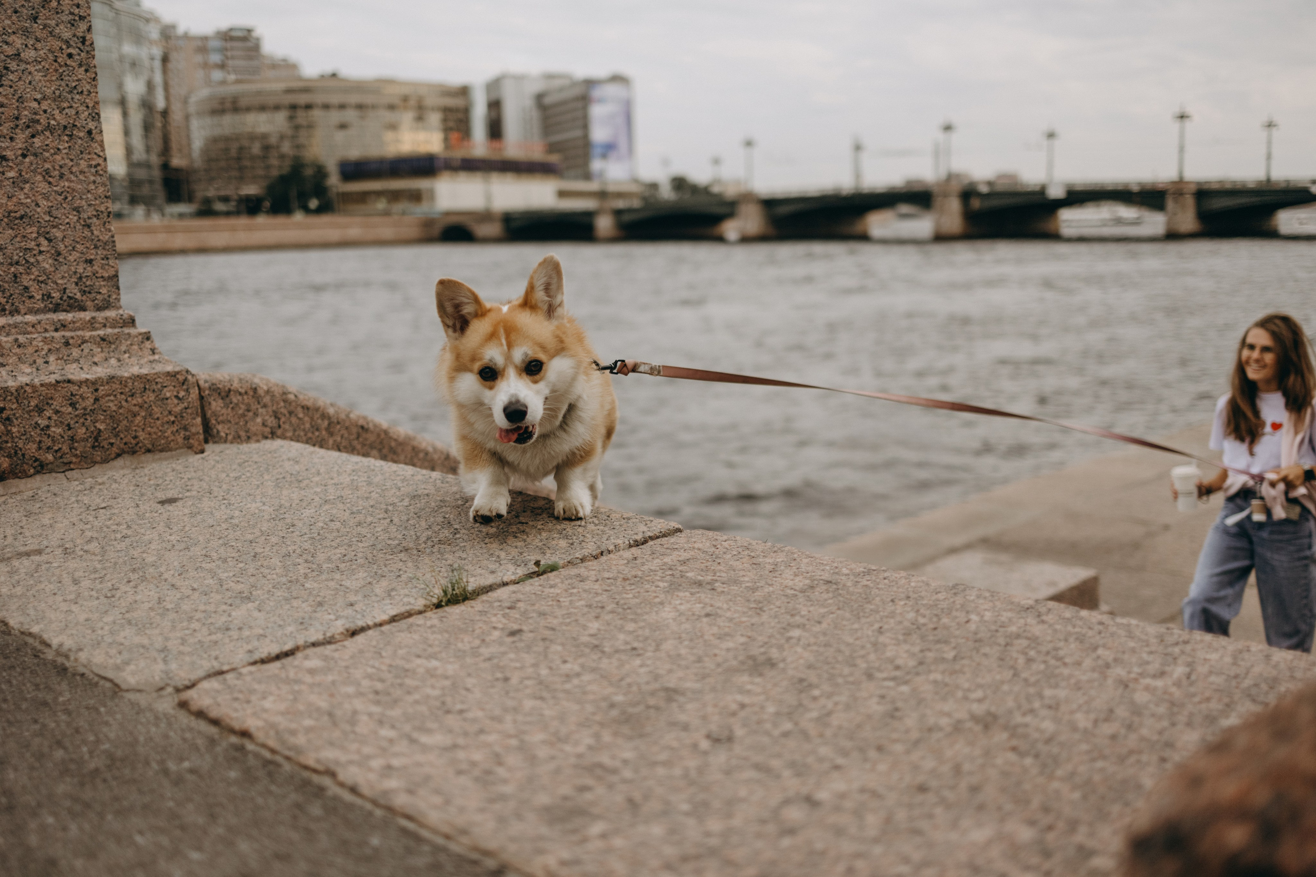 Лиза и Бакс. Фотограф — Анималист | Санкт-Петербург