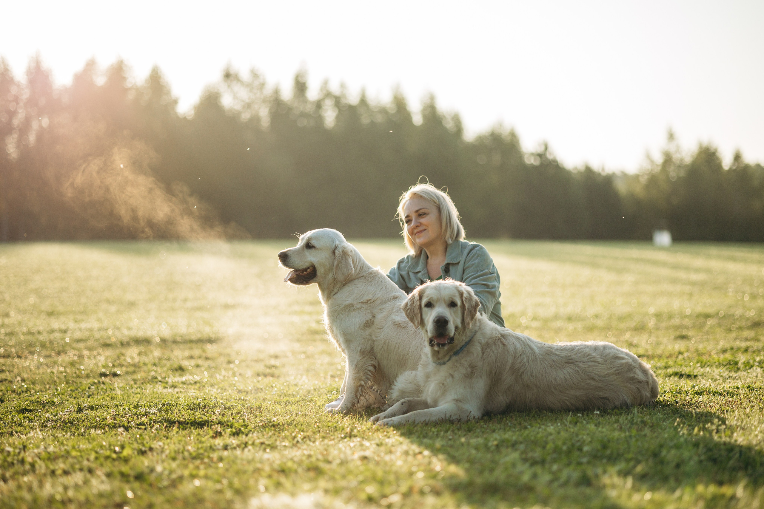 Ирина и ее золотинки. Фотограф — Анималист | Санкт-Петербург