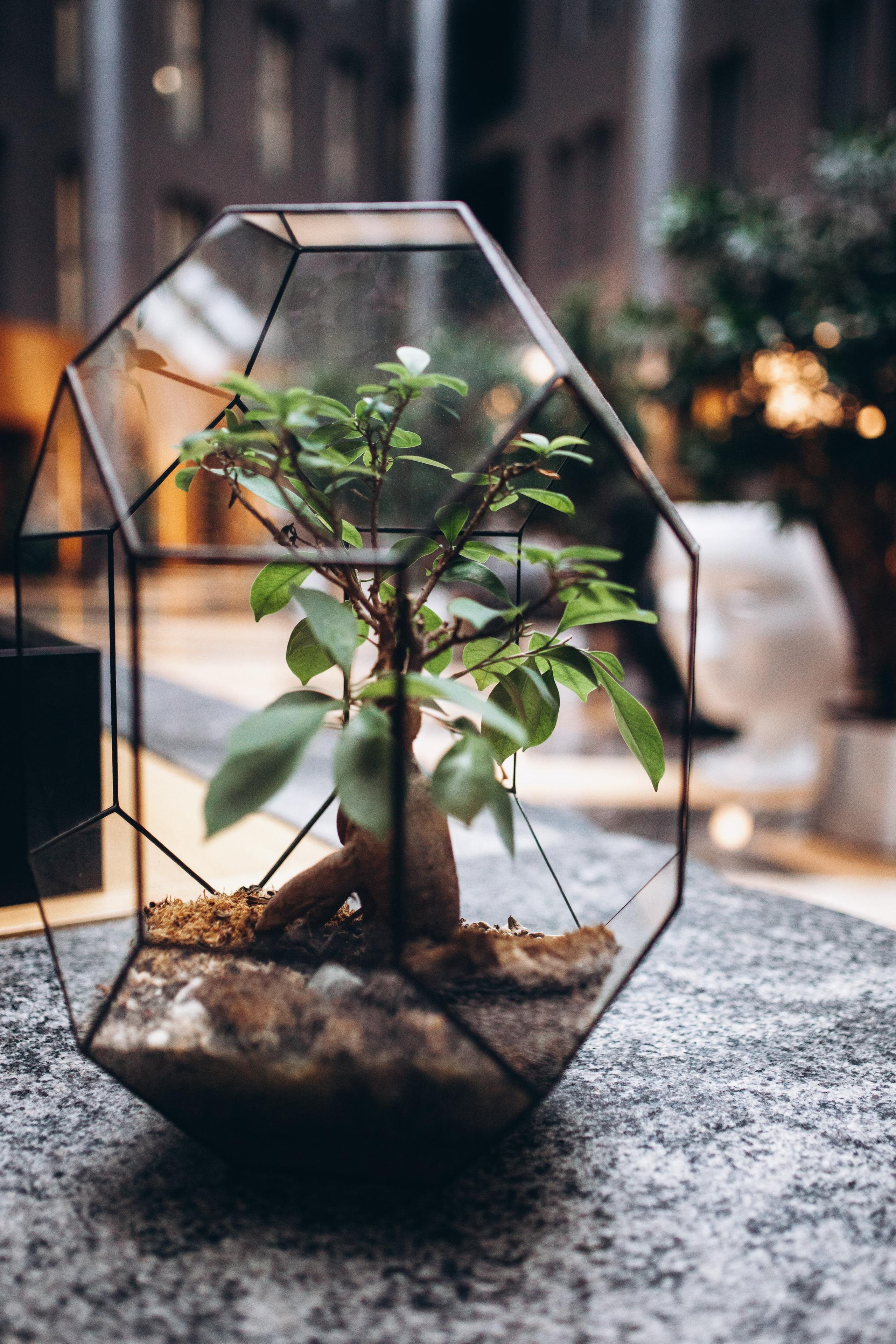 Гамма чувств. Свадебный фотограф Санкт-Петербург Ирина Селезнева RmesLOVE