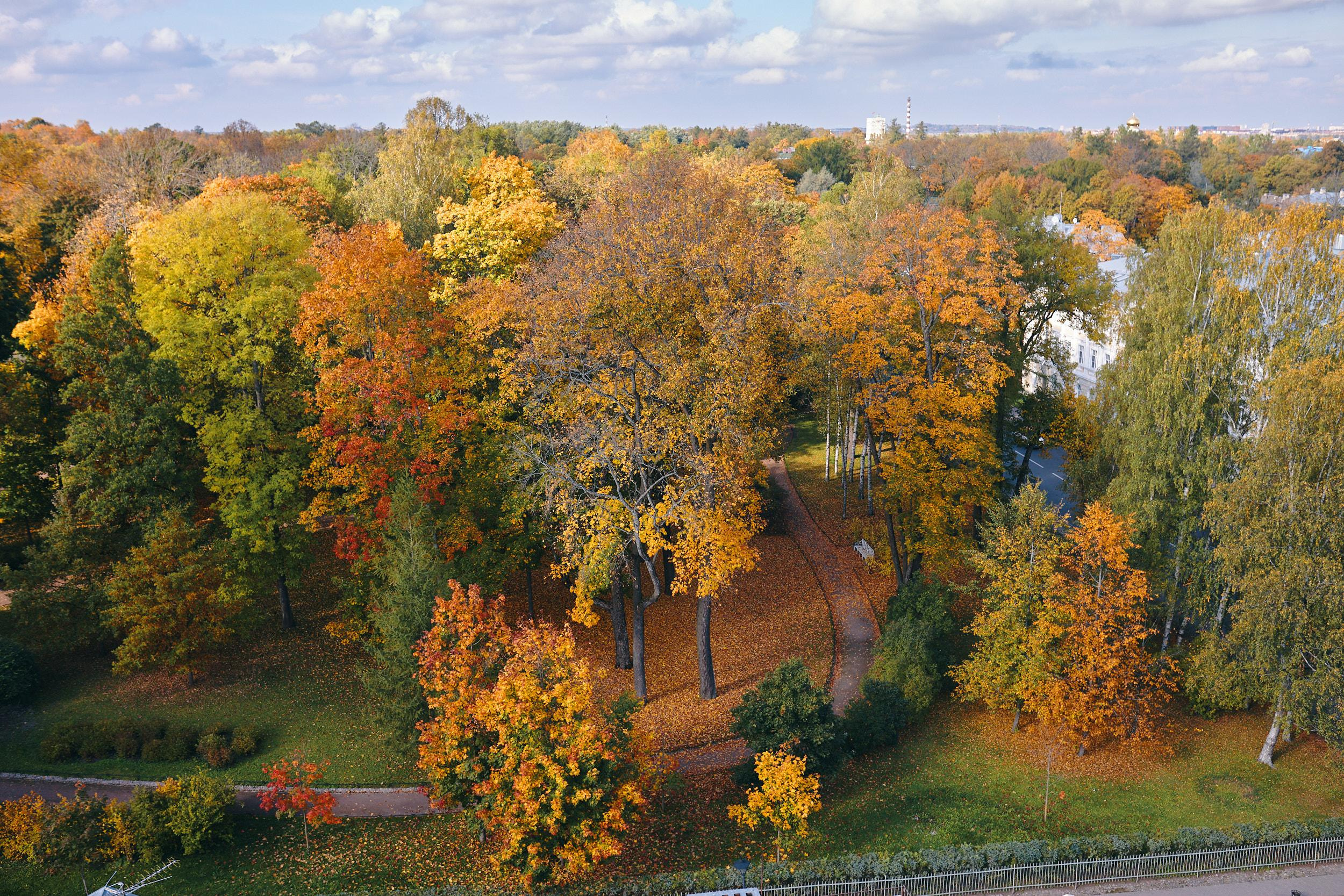 Пушкинское. Свадебный фотограф Санкт-Петербург Ирина Селезнева RmesLOVE