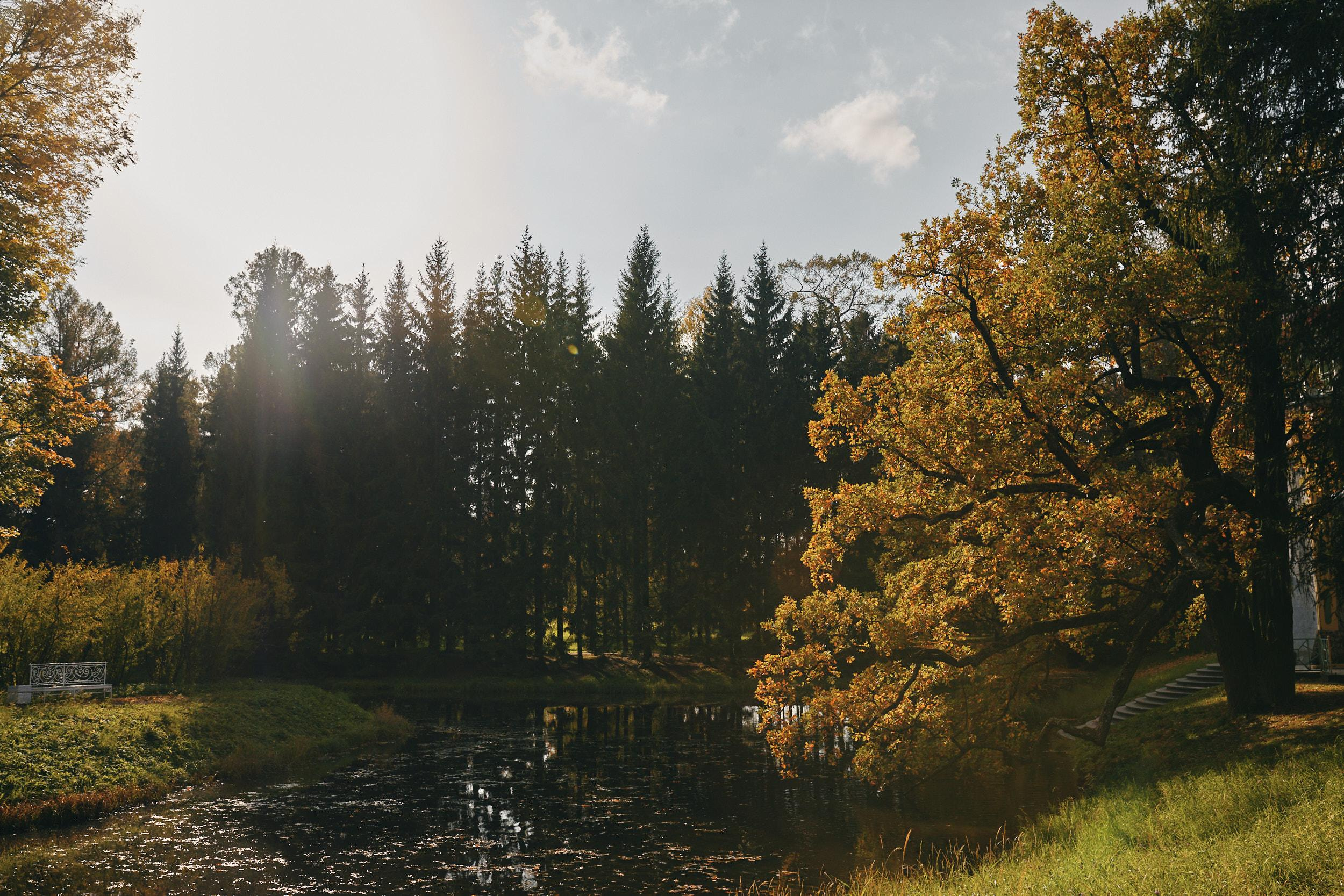 Пушкинское. Свадебный фотограф Санкт-Петербург Ирина Селезнева RmesLOVE