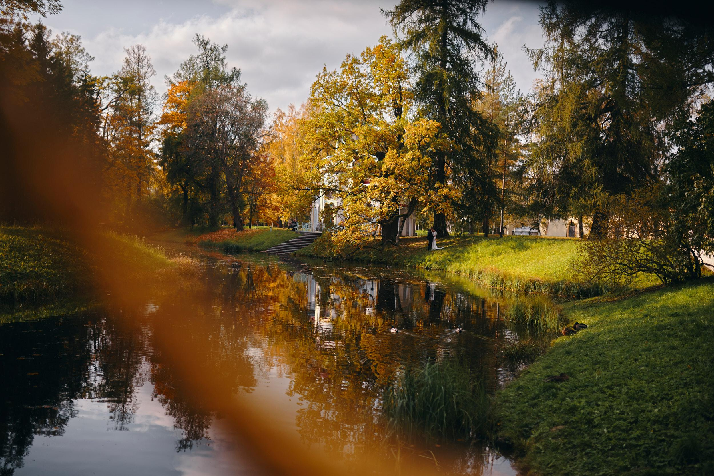 Пушкинское. Свадебный фотограф Санкт-Петербург Ирина Селезнева RmesLOVE