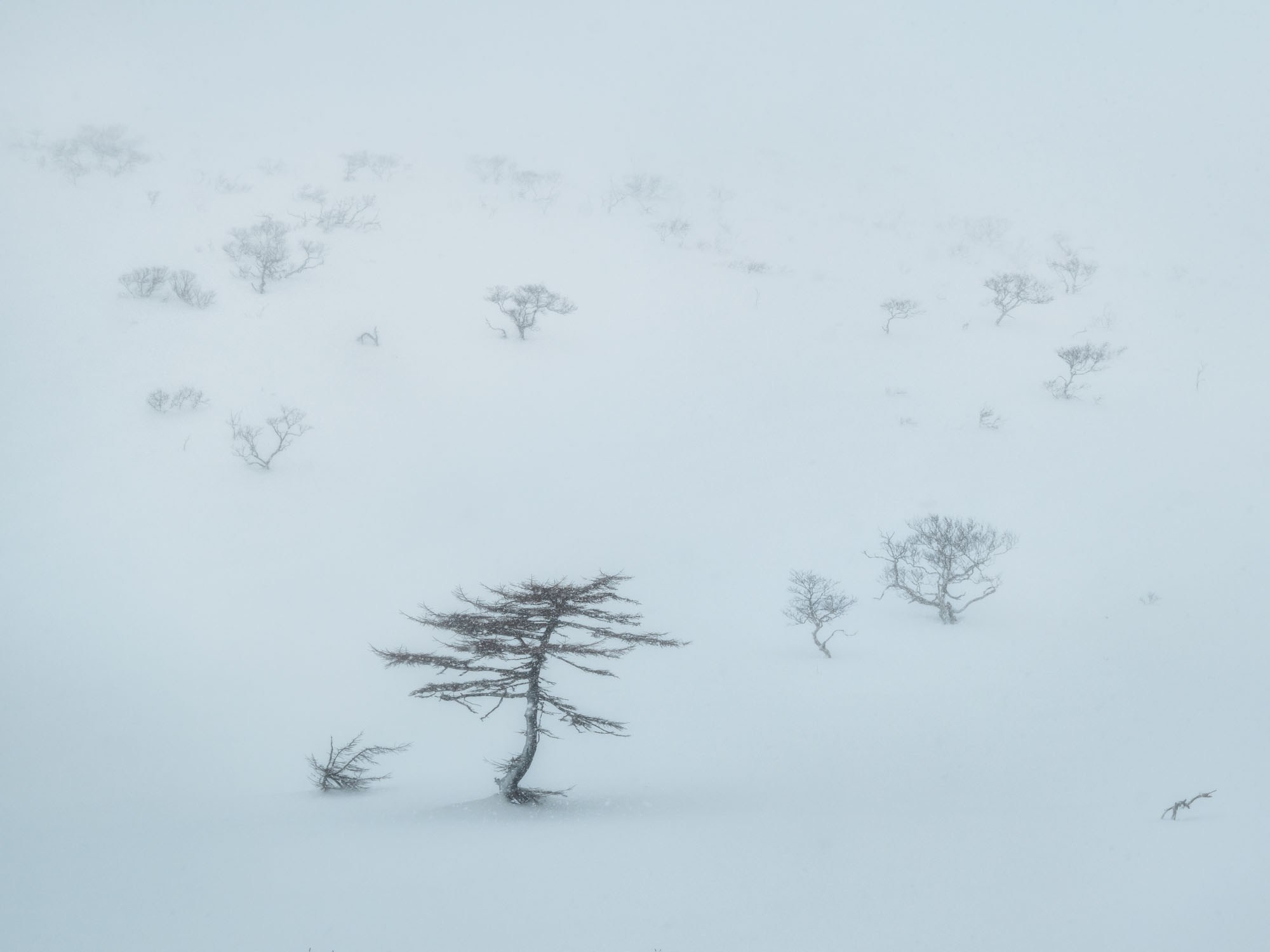 Фотогалерея Зимние Курилы