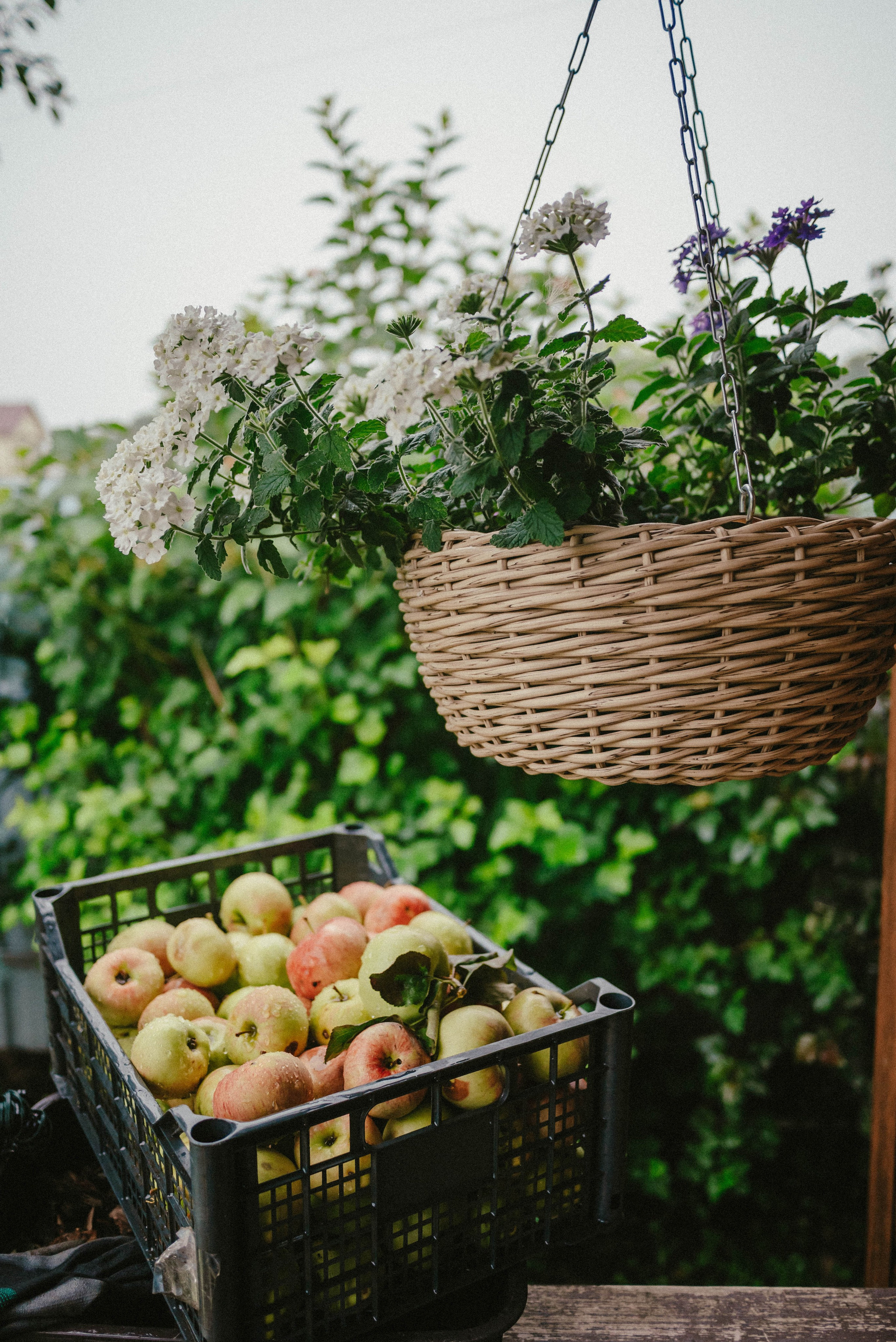 Лесное царство Оксаны. Свадебный и семейный фотограф в Новосибирске, Санкт-Петербурге, Москве