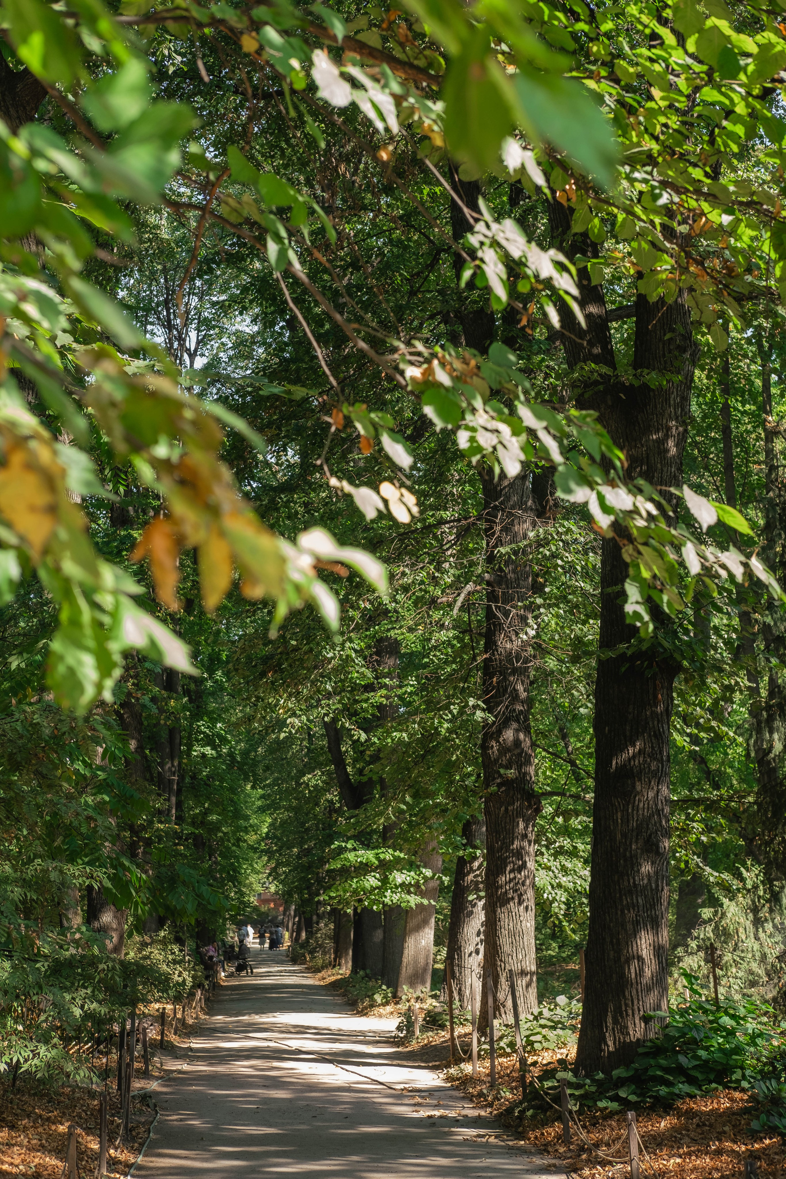 Москва 2024. Свадебный и семейный фотограф в Новосибирске, Санкт-Петербурге, Москве