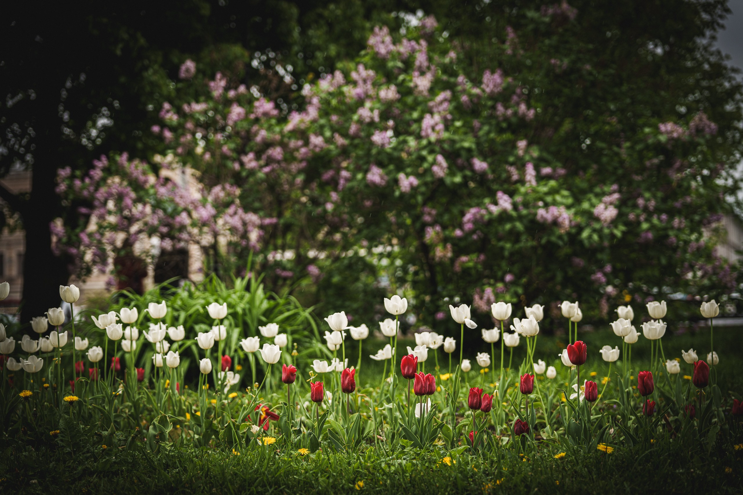 Фото-прогулка. Пенкин Александр