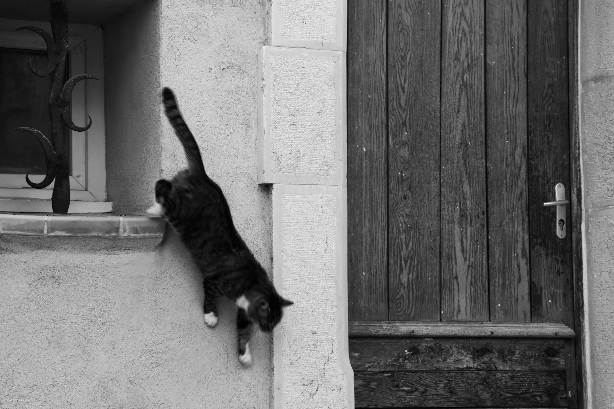 Серия «Почерк Прованса». ANNA PAVLIKOVSKAYA ЧЕРНО-БЕЛАЯ ФОТОГРАФИЯ — ЭТО Я