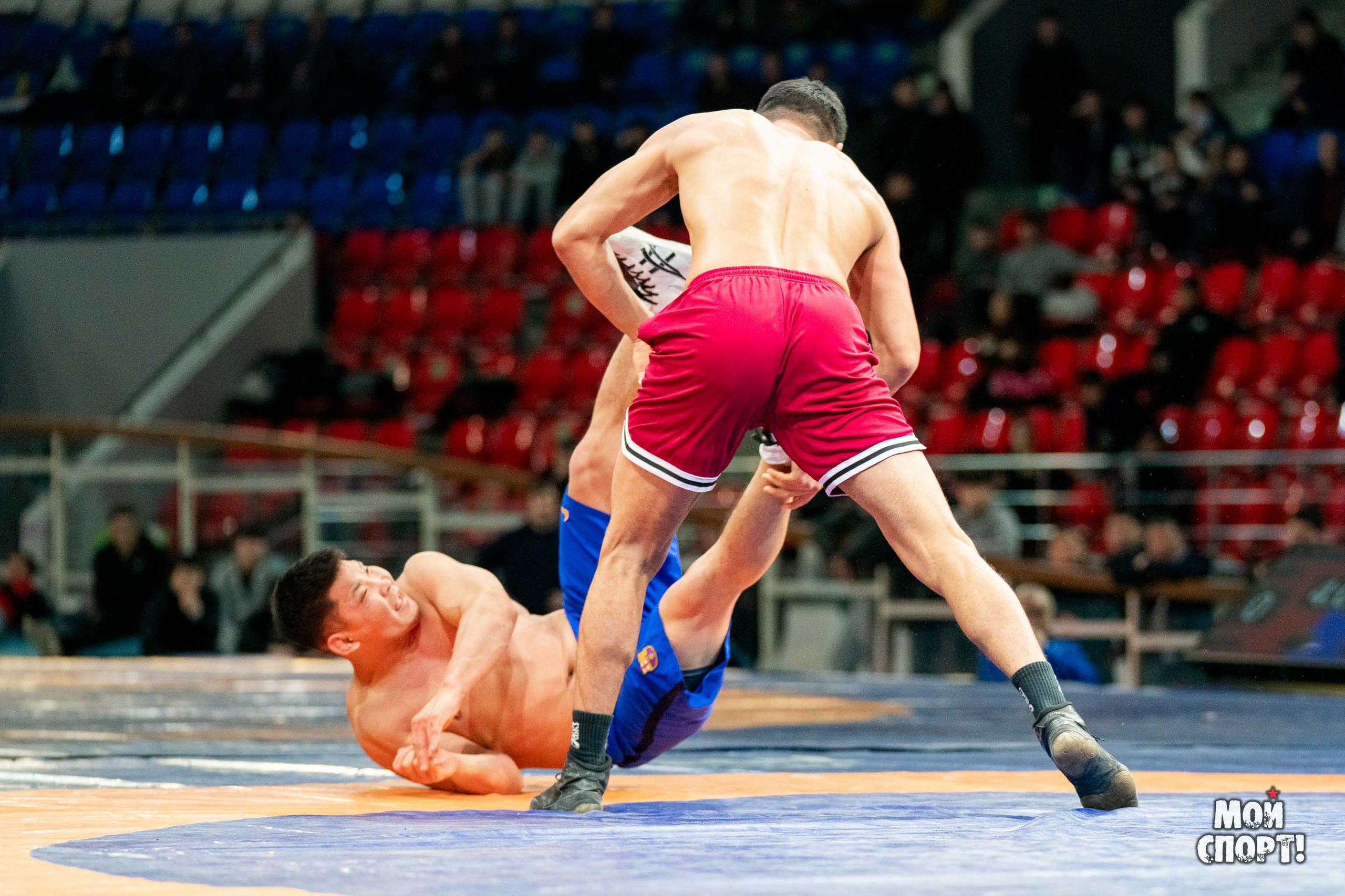 Ханалас Хапсагайа. Студия «Мой Спорт!» — все о спорте в Якутии