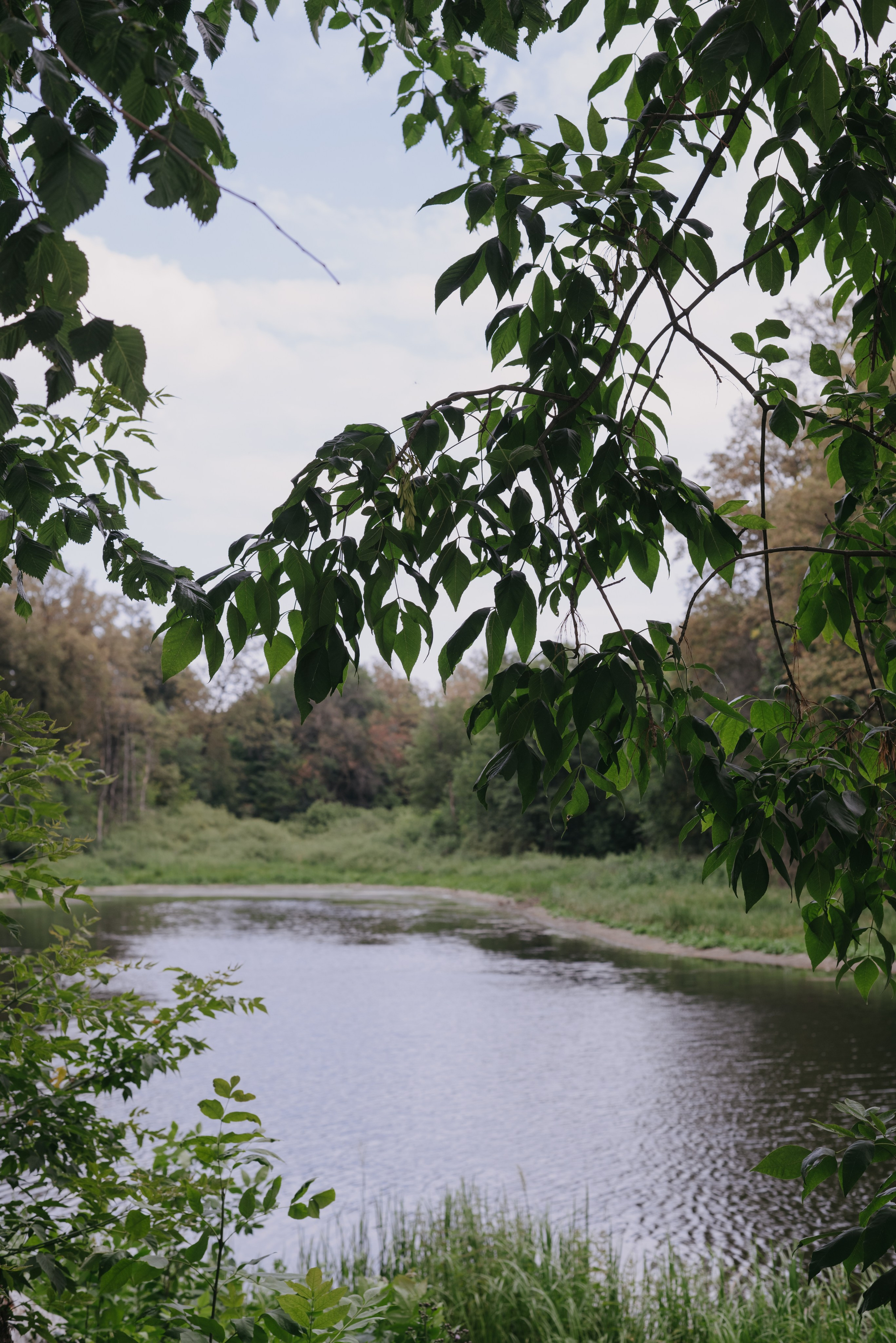 Данил и Таня. Свадебный фотограф Уфа Дарья Насырова