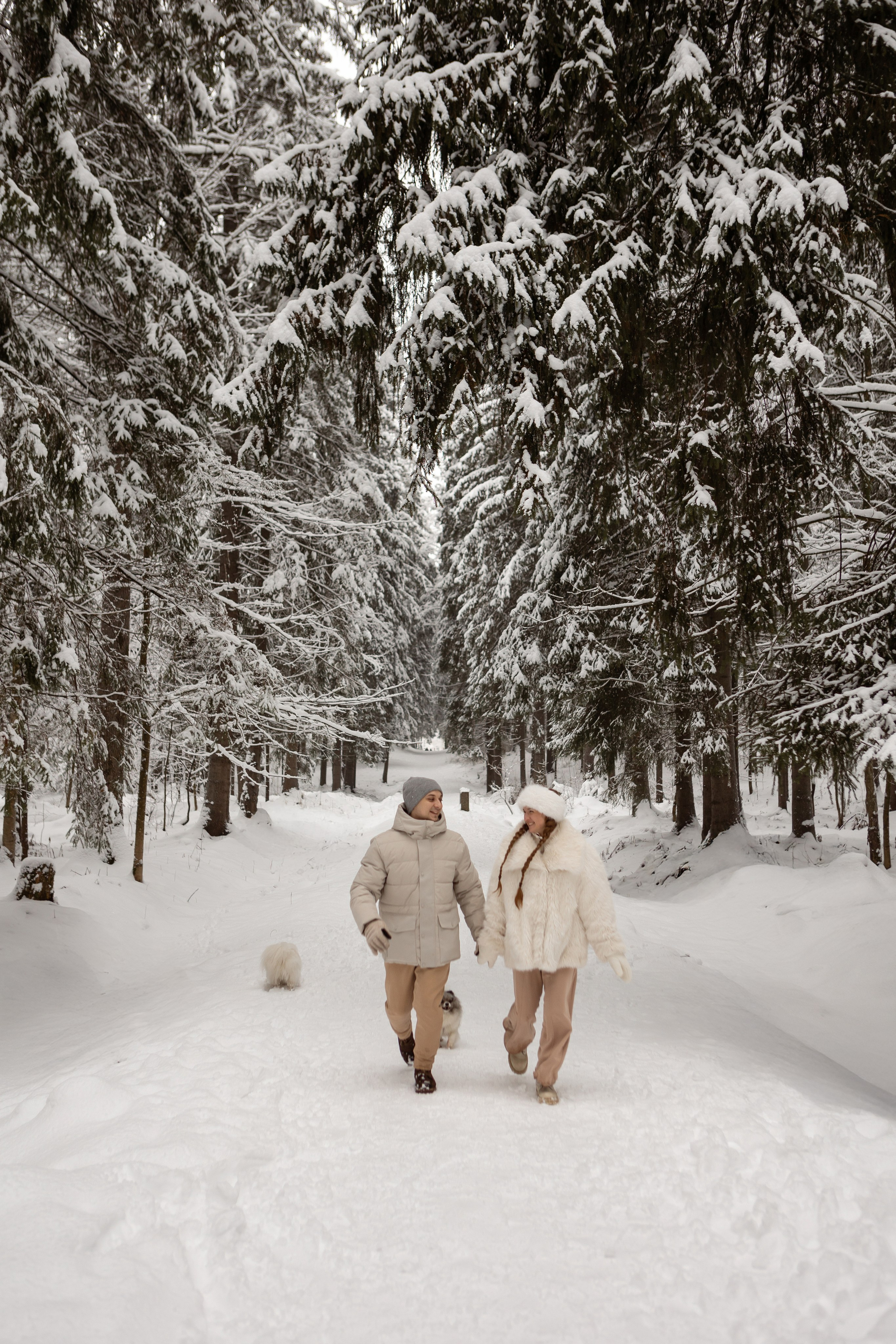 Новогодняя фотосессия с собачками в шуваловском парке. Свадебный фотограф в СПБ | Санкт-Петербурге Анастасия Рахимгулова