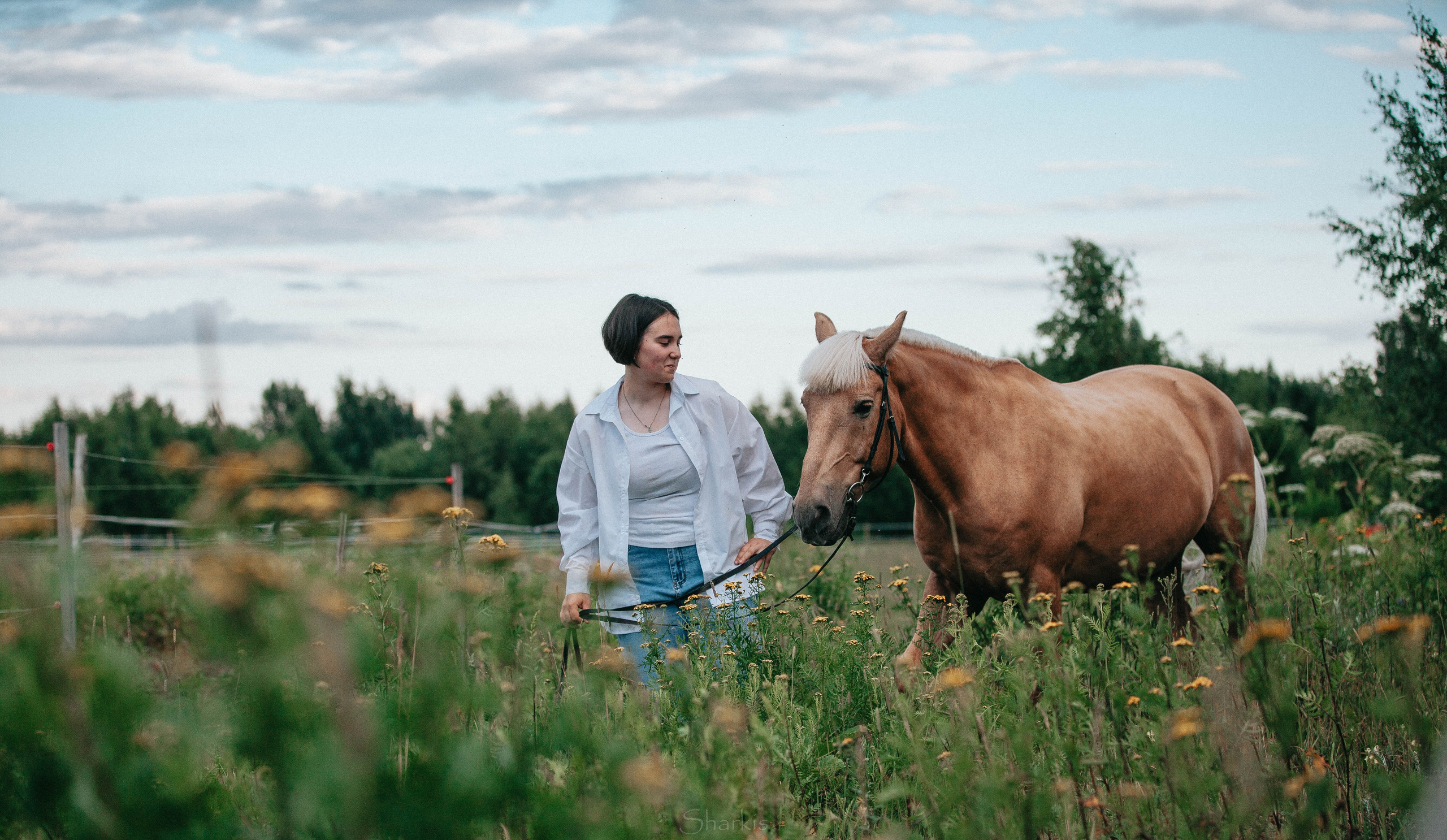 Алина и Гешефт. Главная