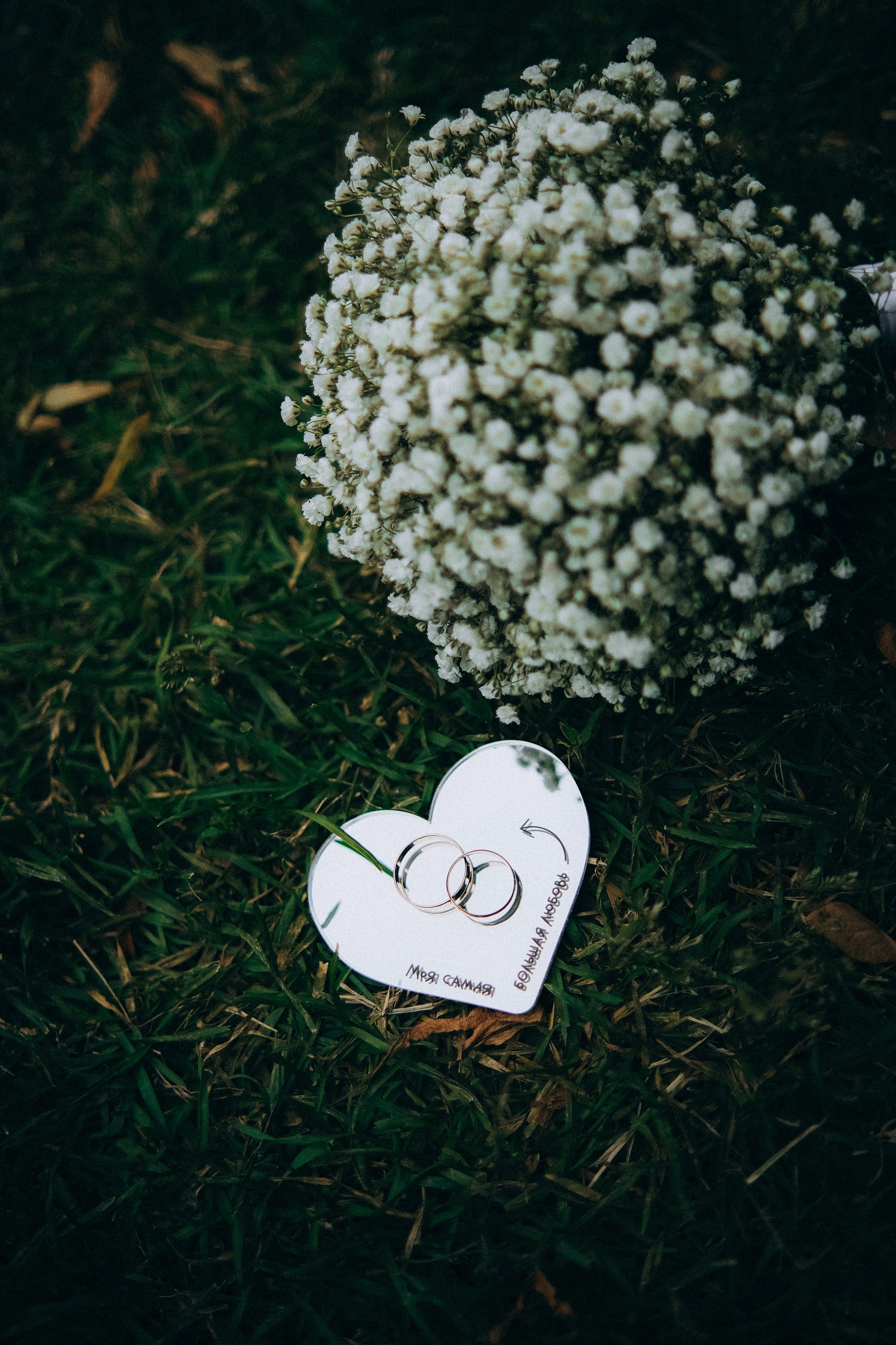 Оля & Саша ДБ1. Phdkvmr.ru