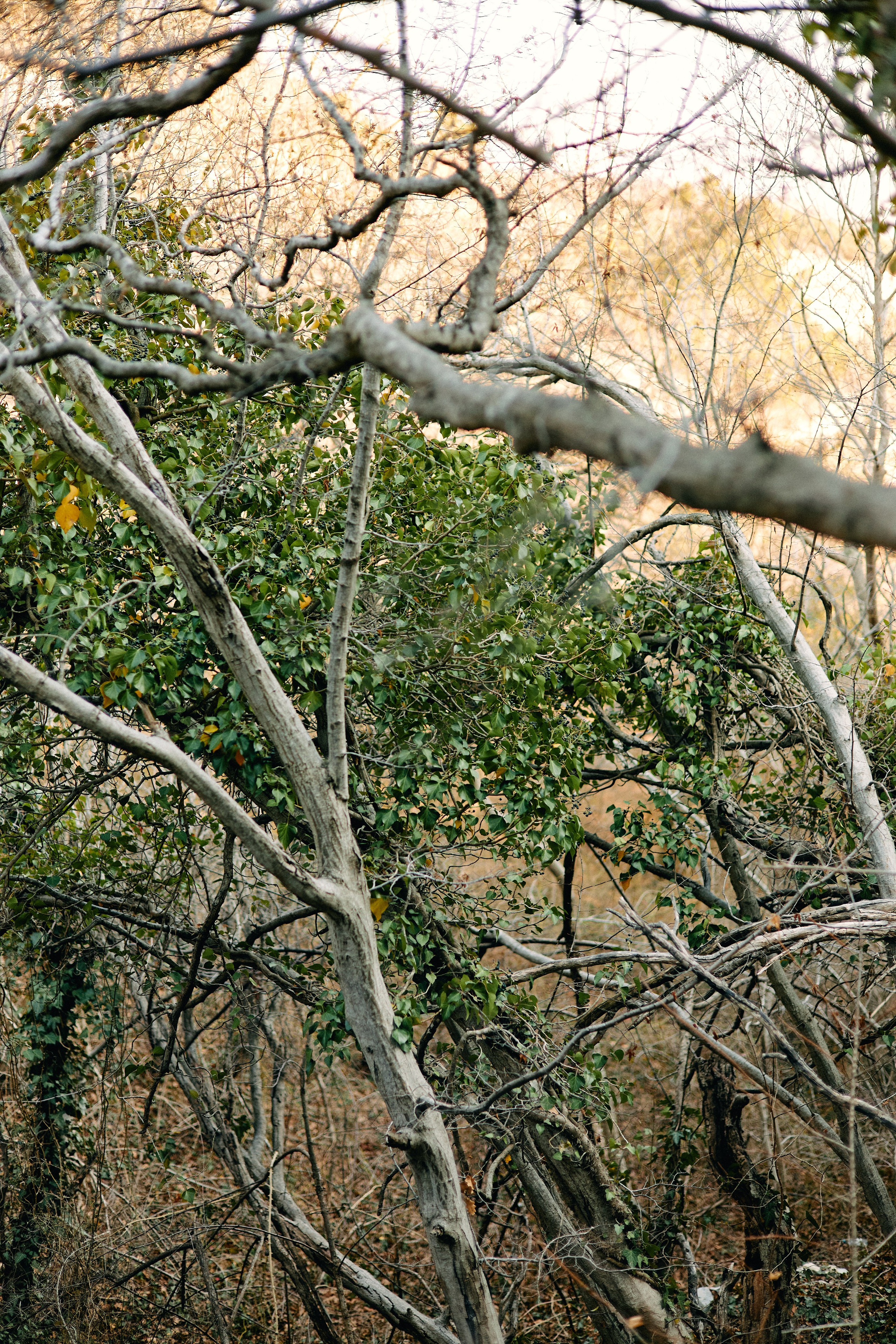Юг России. Профессиональный Фотограф во Владимире, в Москве и в Суздале — Полина Романычева