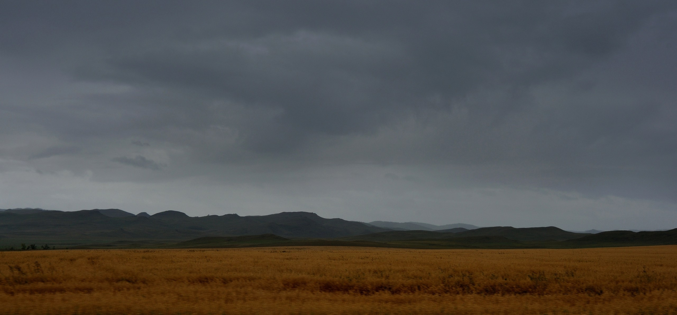 Хакасия цвет. Катерина Михеева