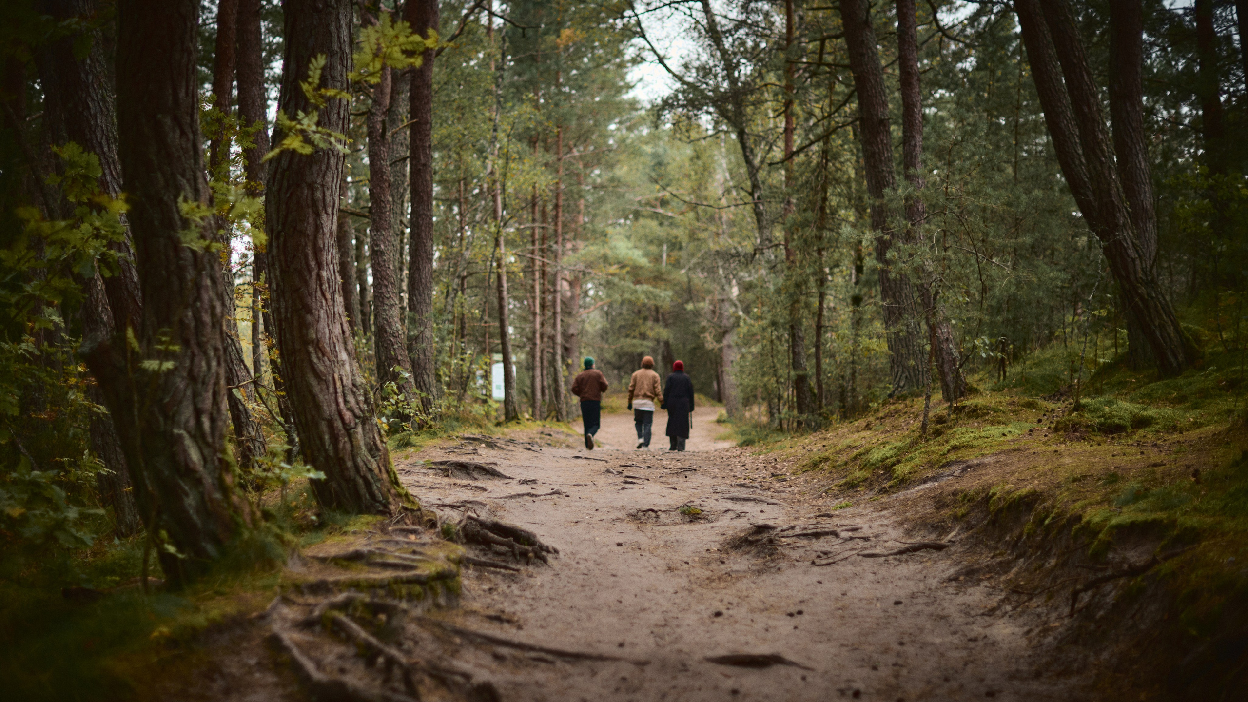 Kaliningrad 2025. Лиза Сытикова. Фотограф. Москва
