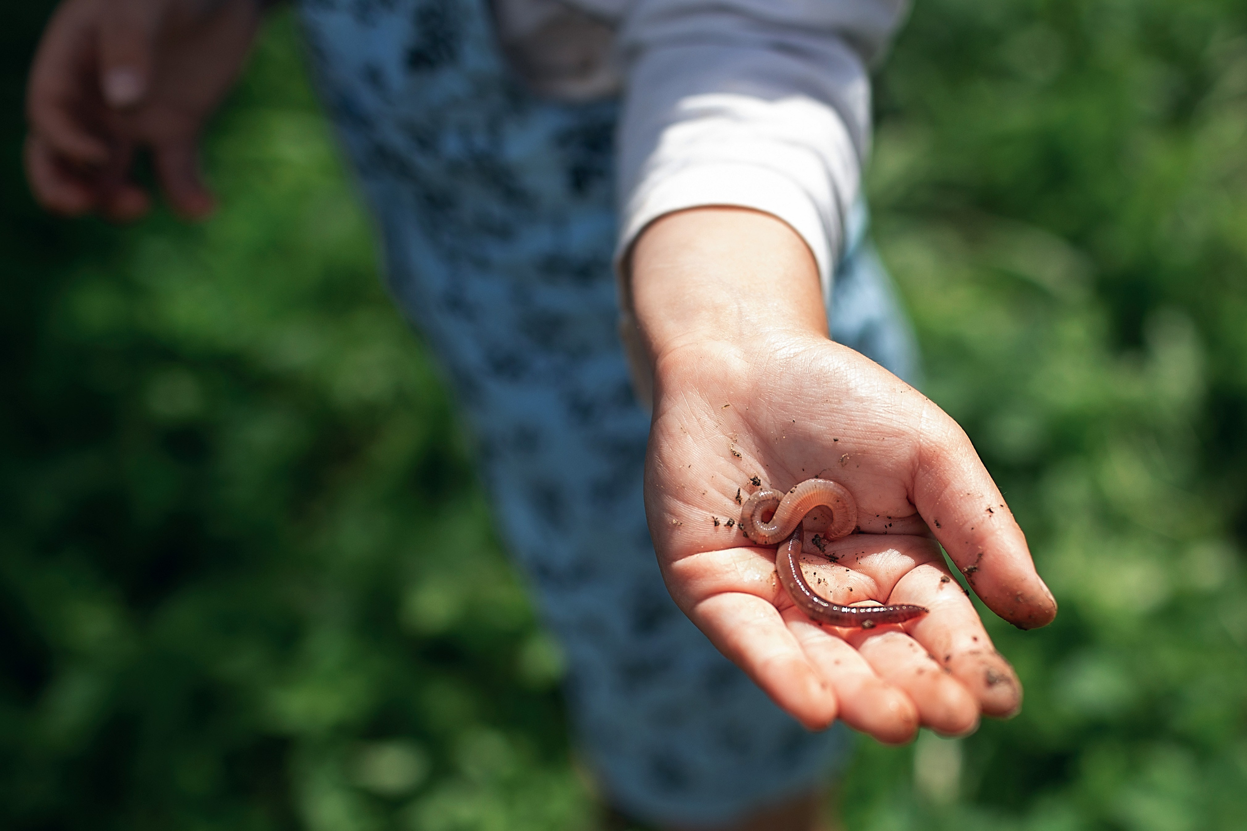 Рыбалка_Ктинское озеро. Семейный фотограф в Санкт-Петербурге