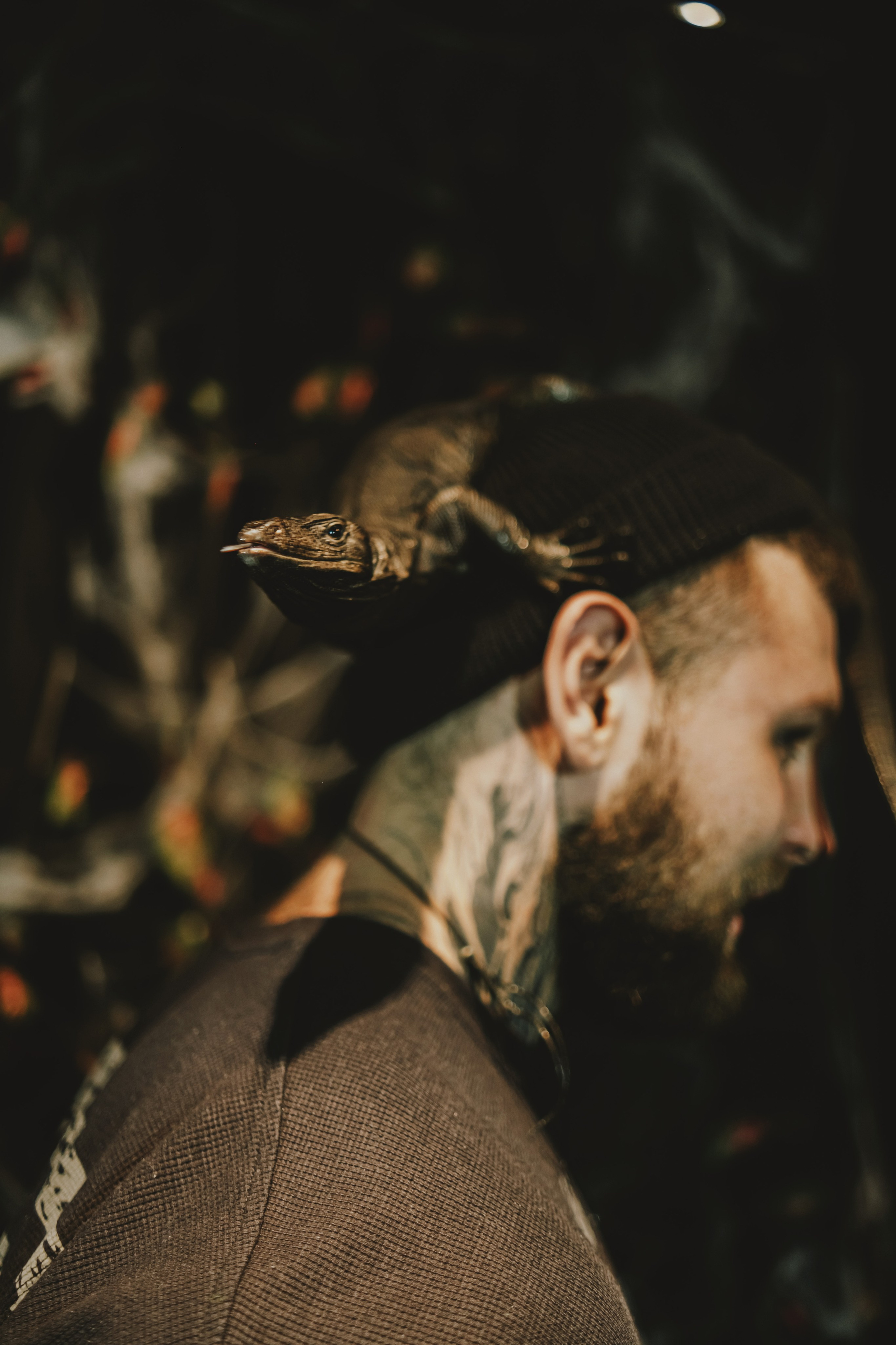 Дом Драконов. Nattie.ph