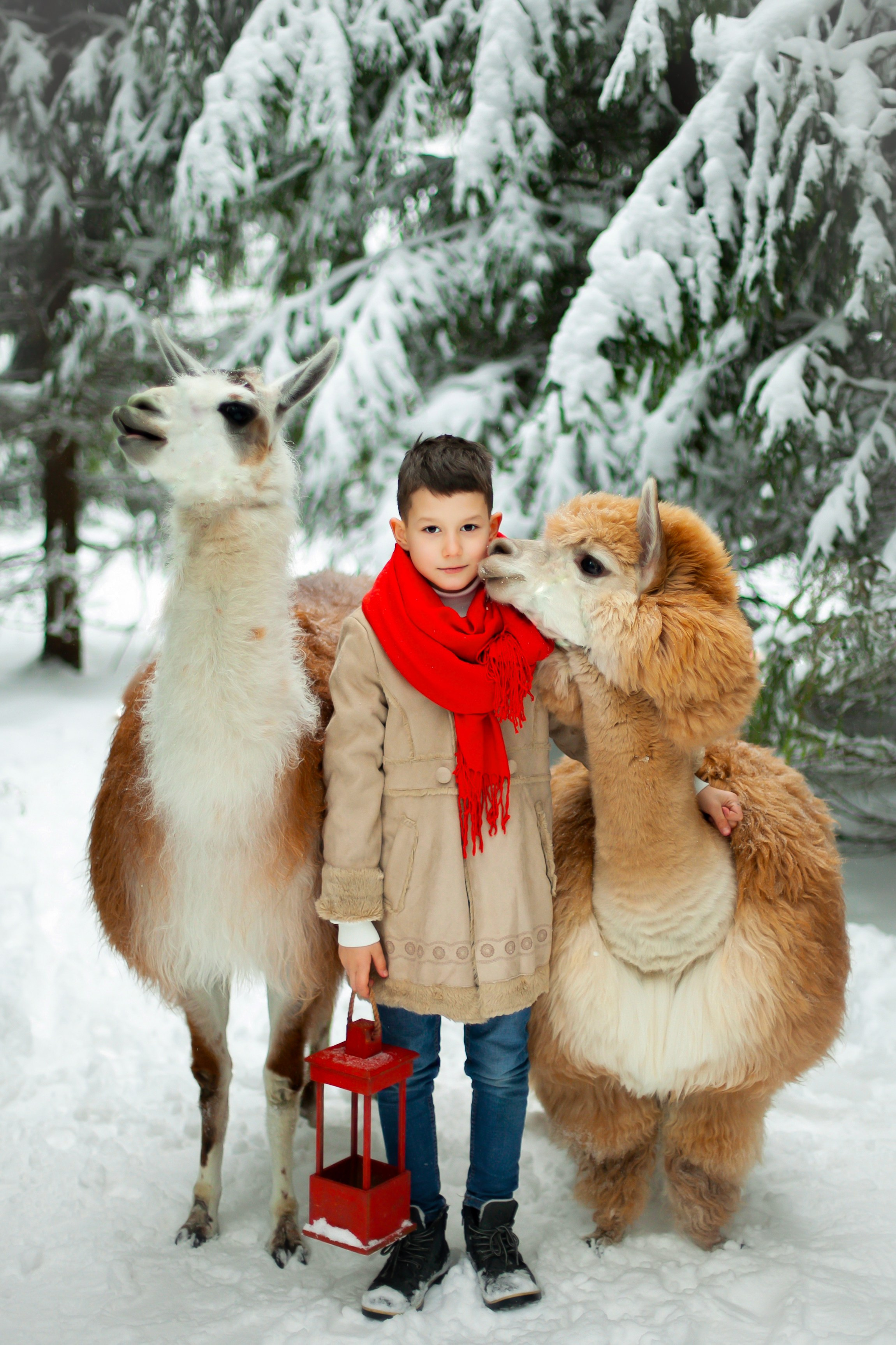 Зимние фотосессии с животными на улице. Фотопроекты, фотодни и фотосессии в Москве