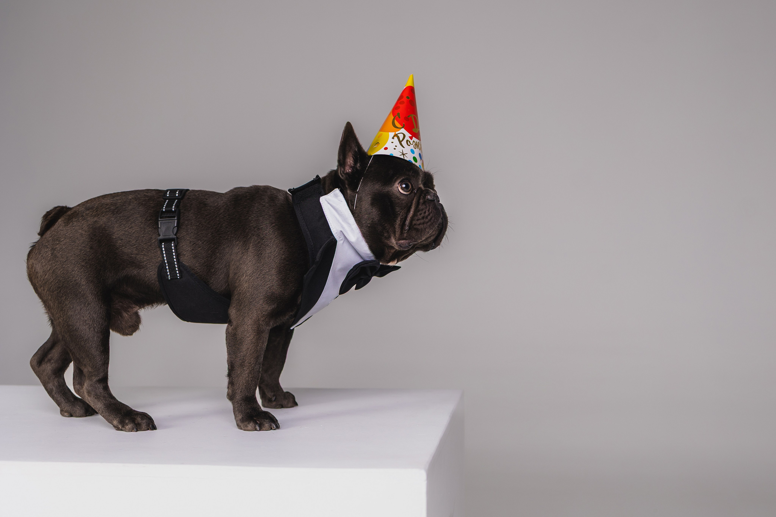 Кристина и Счастье