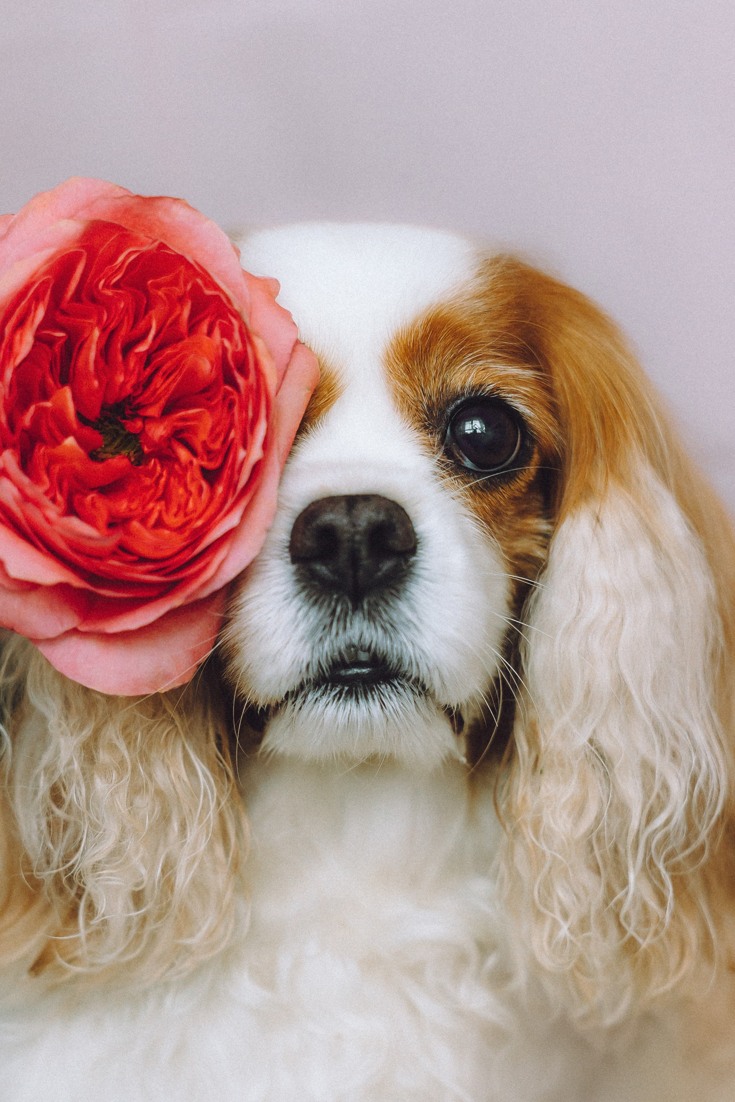 Наташа и Вики