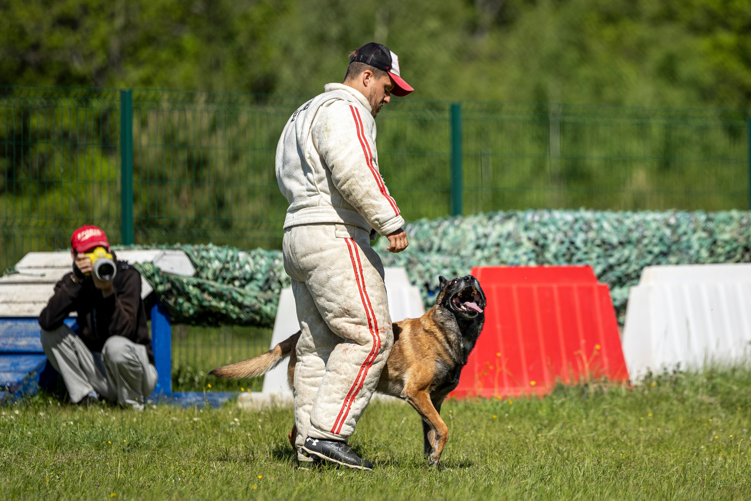 Испытания по мондьорингу в Нижнем Новгороде. Фотограф-анималист Анна Маринич