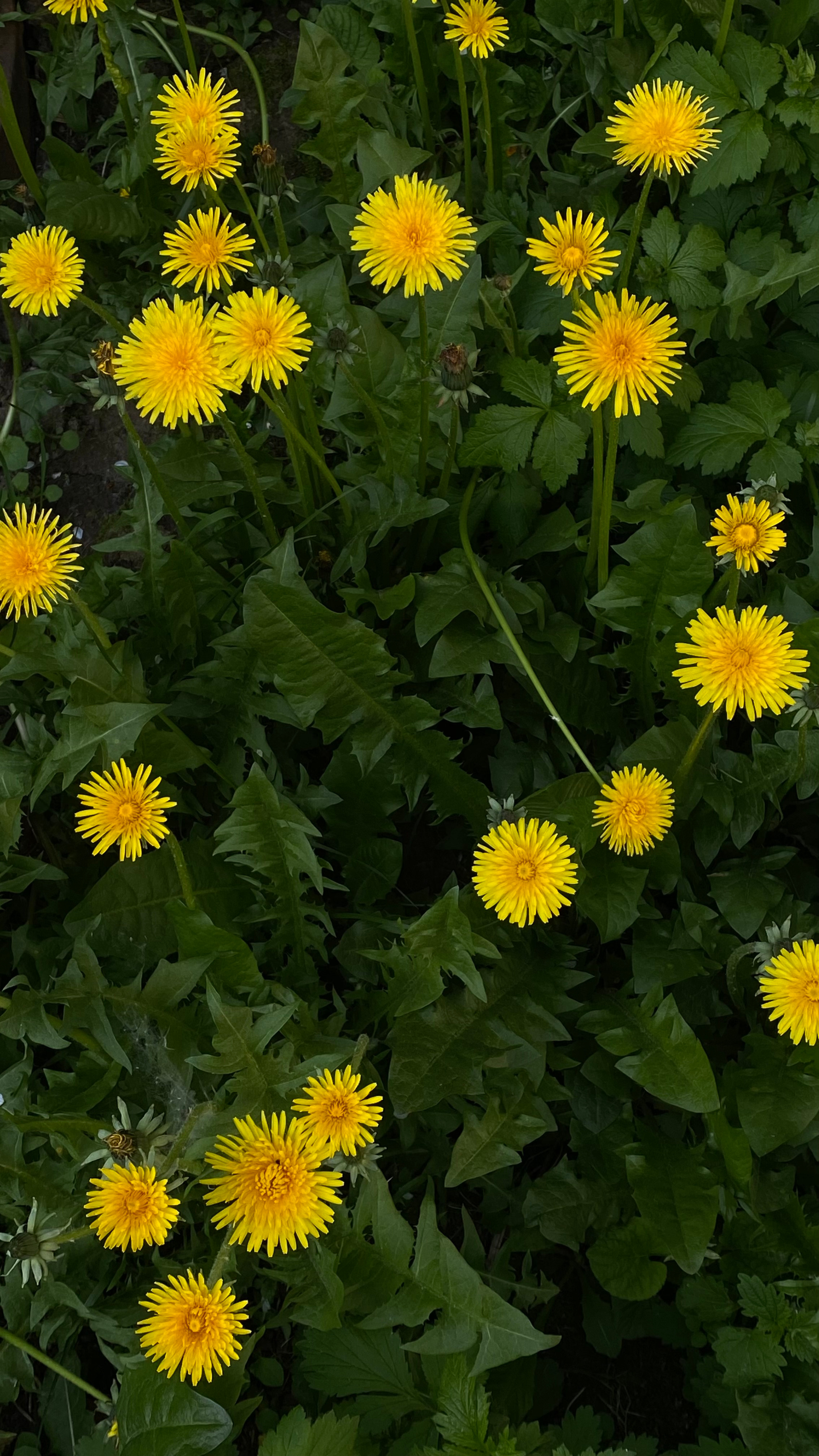 Магия тёмного кадра. Контент-фотограф в Нижнем Новгороде Антошина Ольга