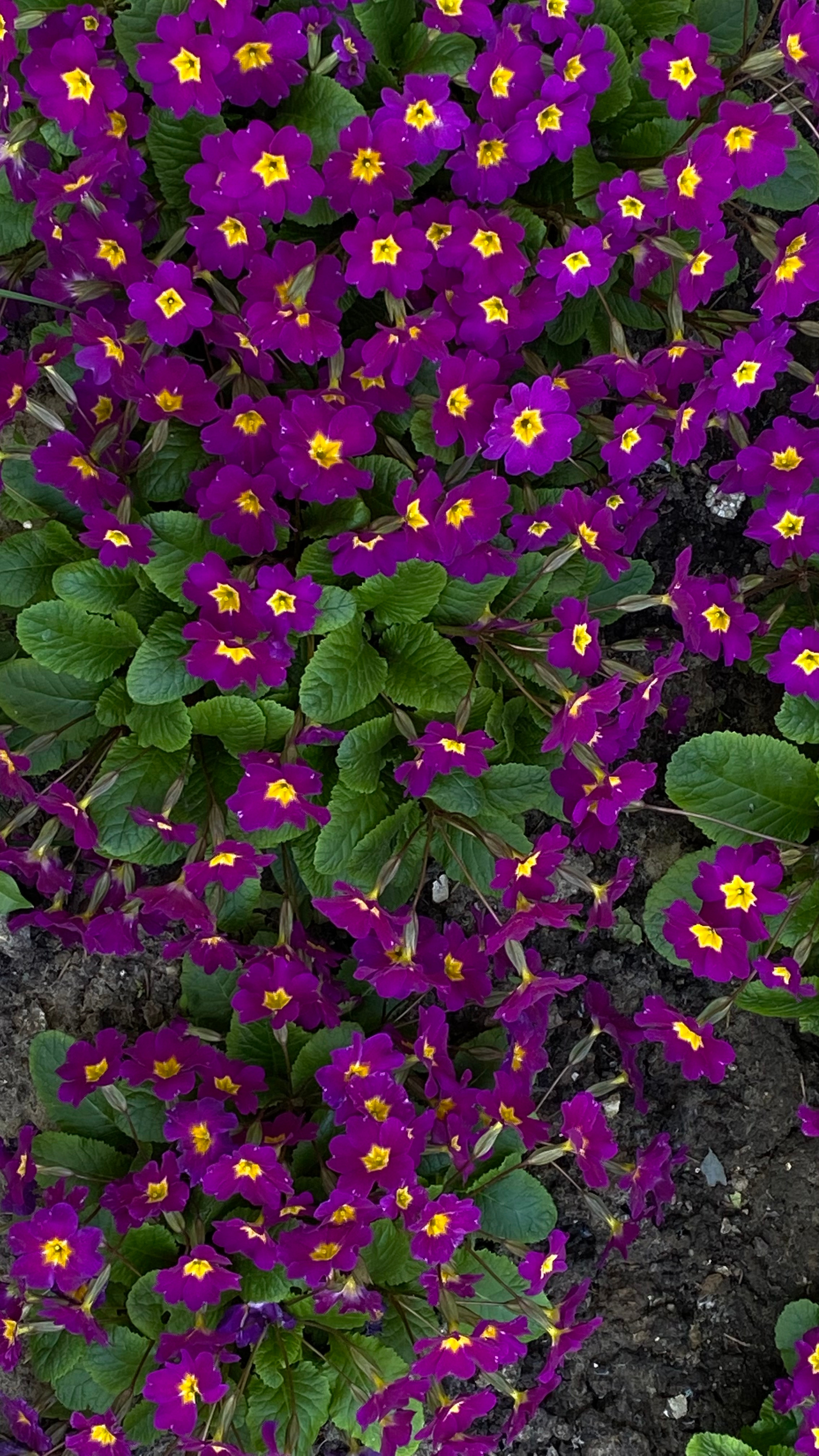 Магия тёмного кадра. Контент-фотограф в Нижнем Новгороде Антошина Ольга