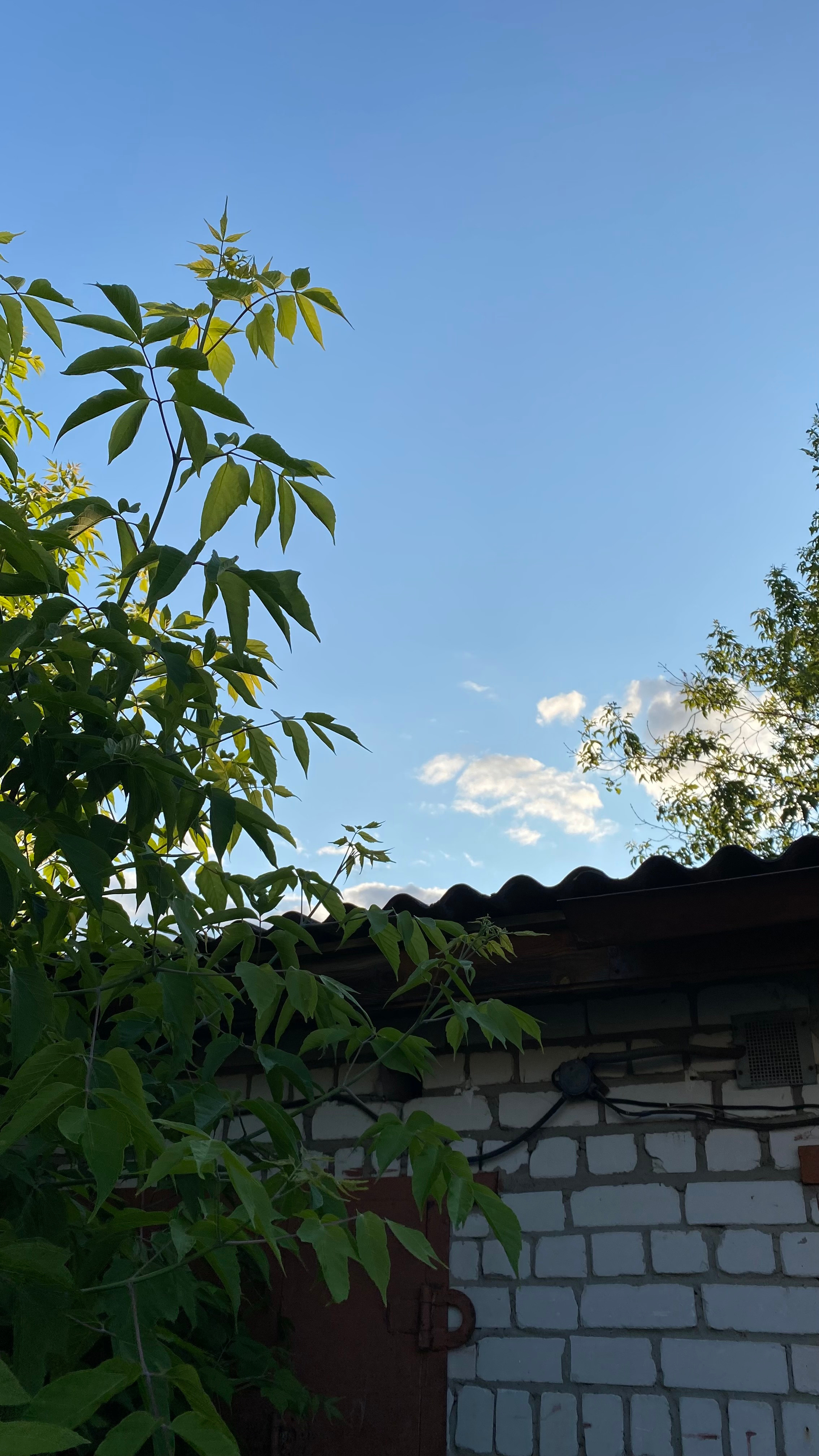 Магия тёмного кадра. Контент-фотограф в Нижнем Новгороде Антошина Ольга