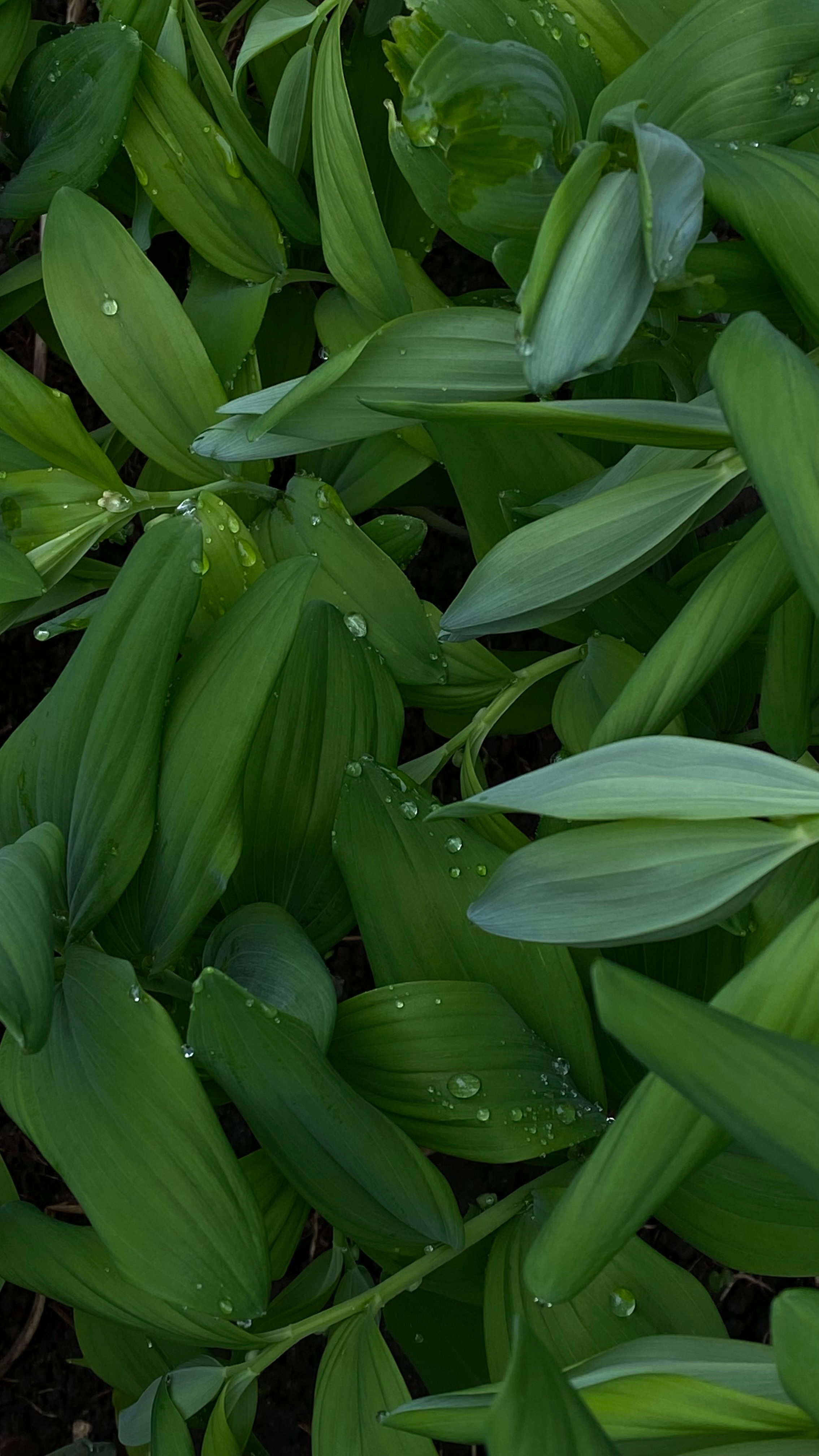 Магия тёмного кадра. Контент-фотограф в Нижнем Новгороде Антошина Ольга