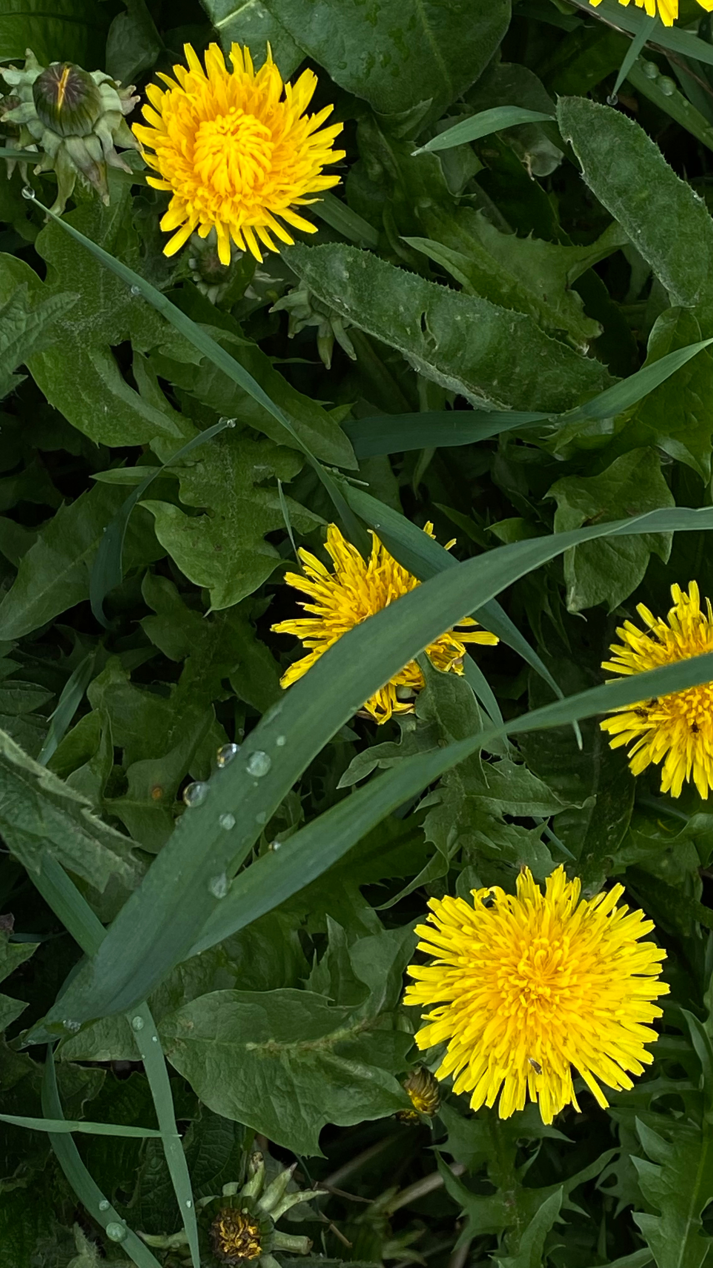 Магия тёмного кадра. Контент-фотограф в Нижнем Новгороде Антошина Ольга