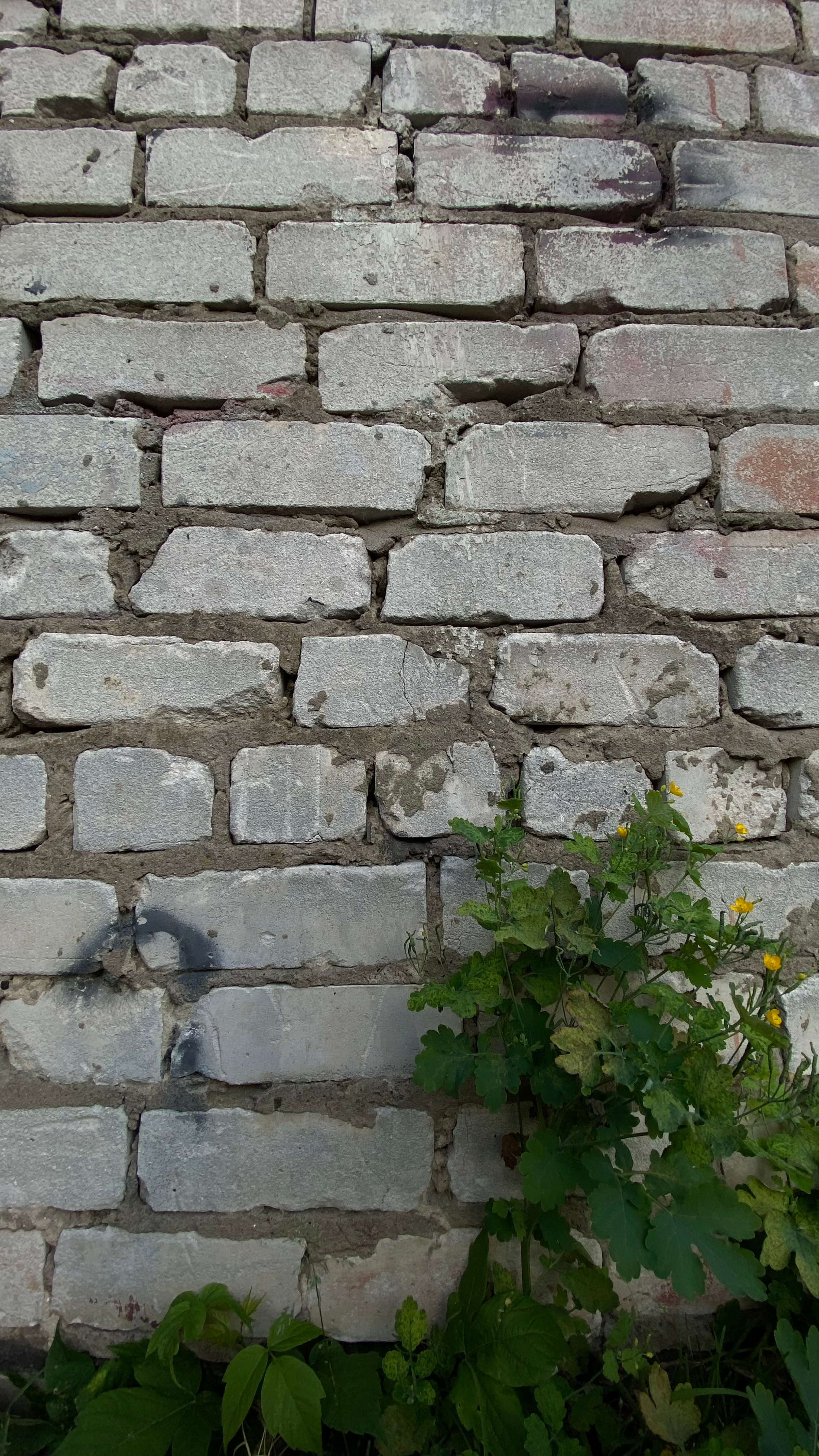 Магия тёмного кадра. Контент-фотограф в Нижнем Новгороде Антошина Ольга