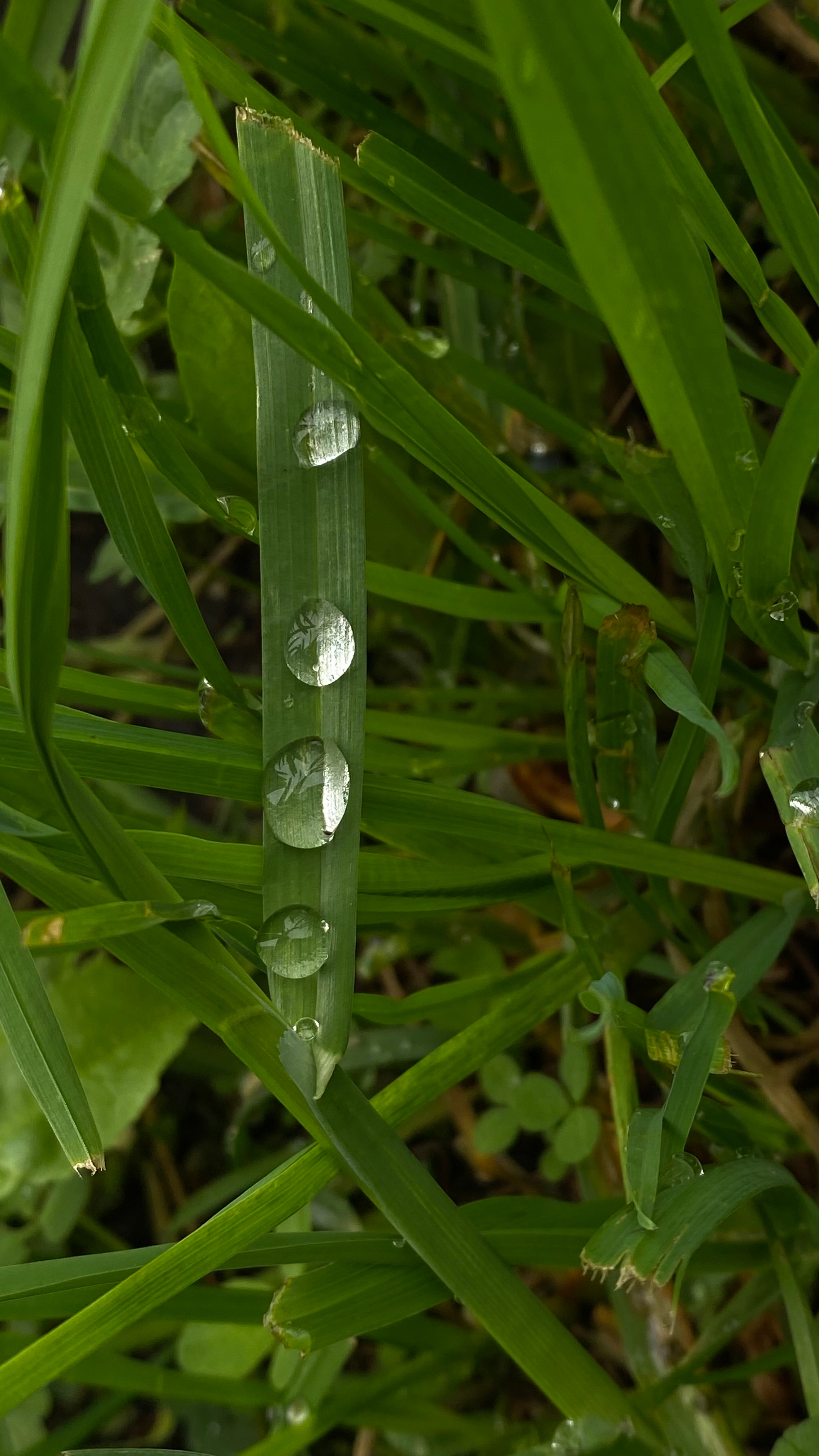 Магия тёмного кадра. Контент-фотограф в Нижнем Новгороде Антошина Ольга