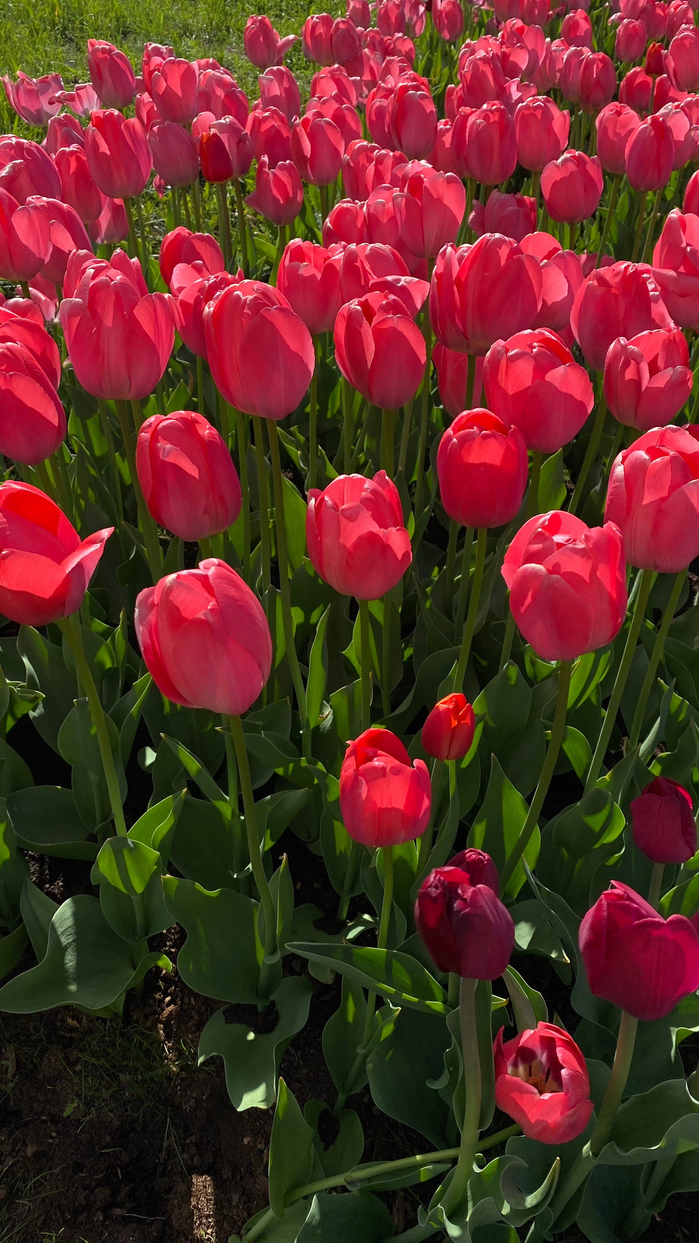 Магия тёмного кадра. Контент-фотограф в Нижнем Новгороде Антошина Ольга