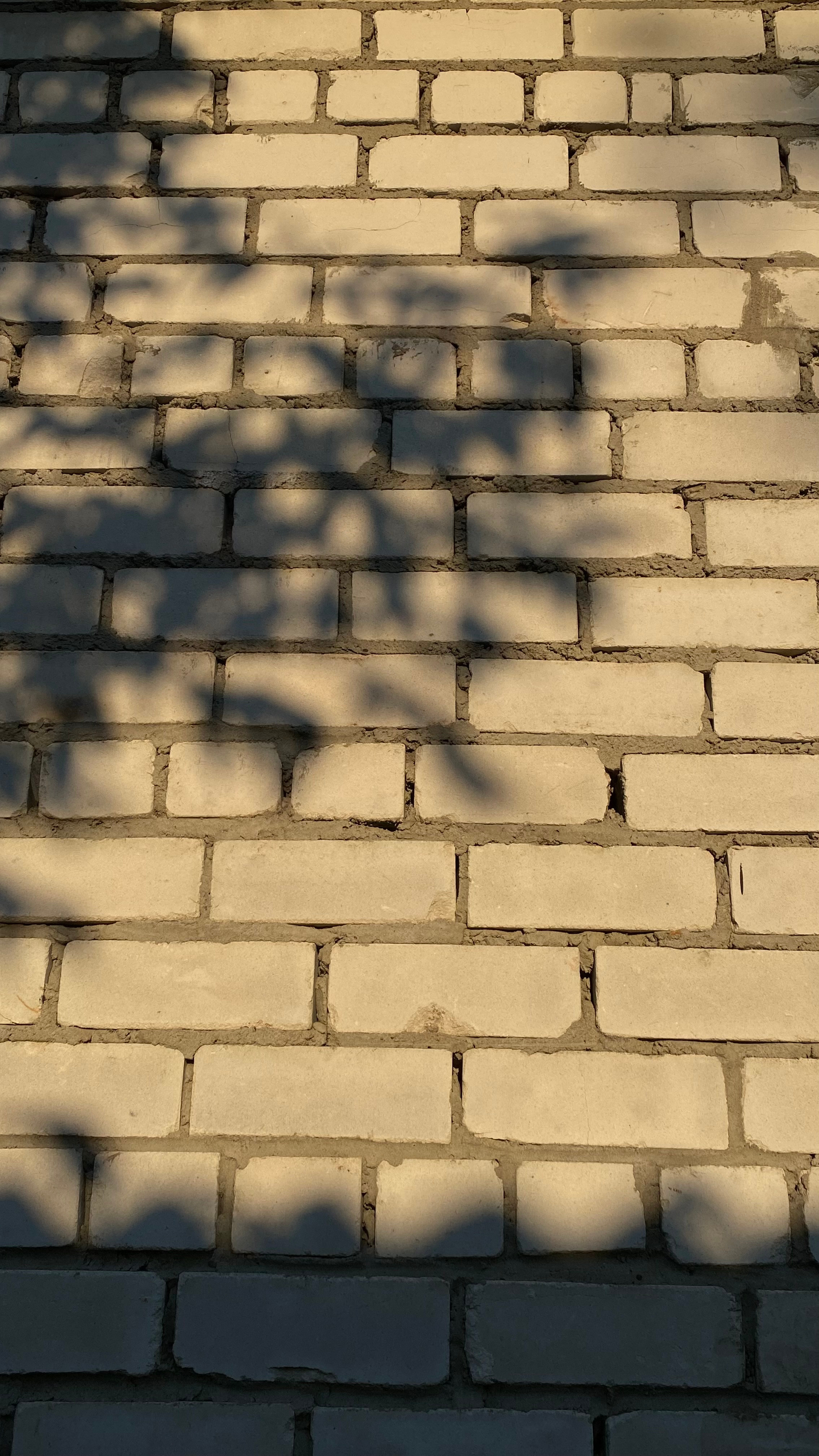 Магия тёмного кадра. Контент-фотограф в Нижнем Новгороде Антошина Ольга