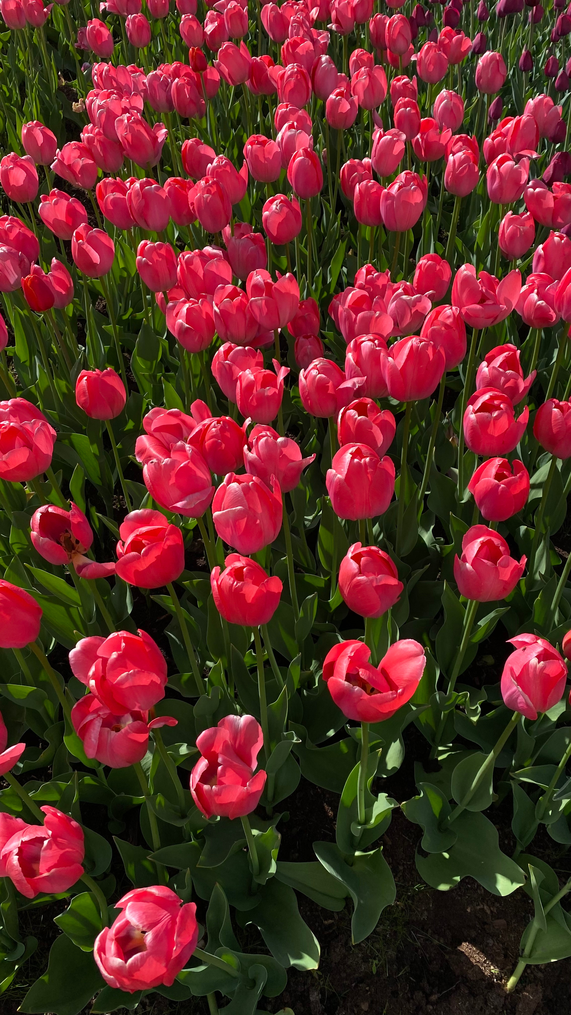 Магия тёмного кадра. Контент-фотограф в Нижнем Новгороде Антошина Ольга