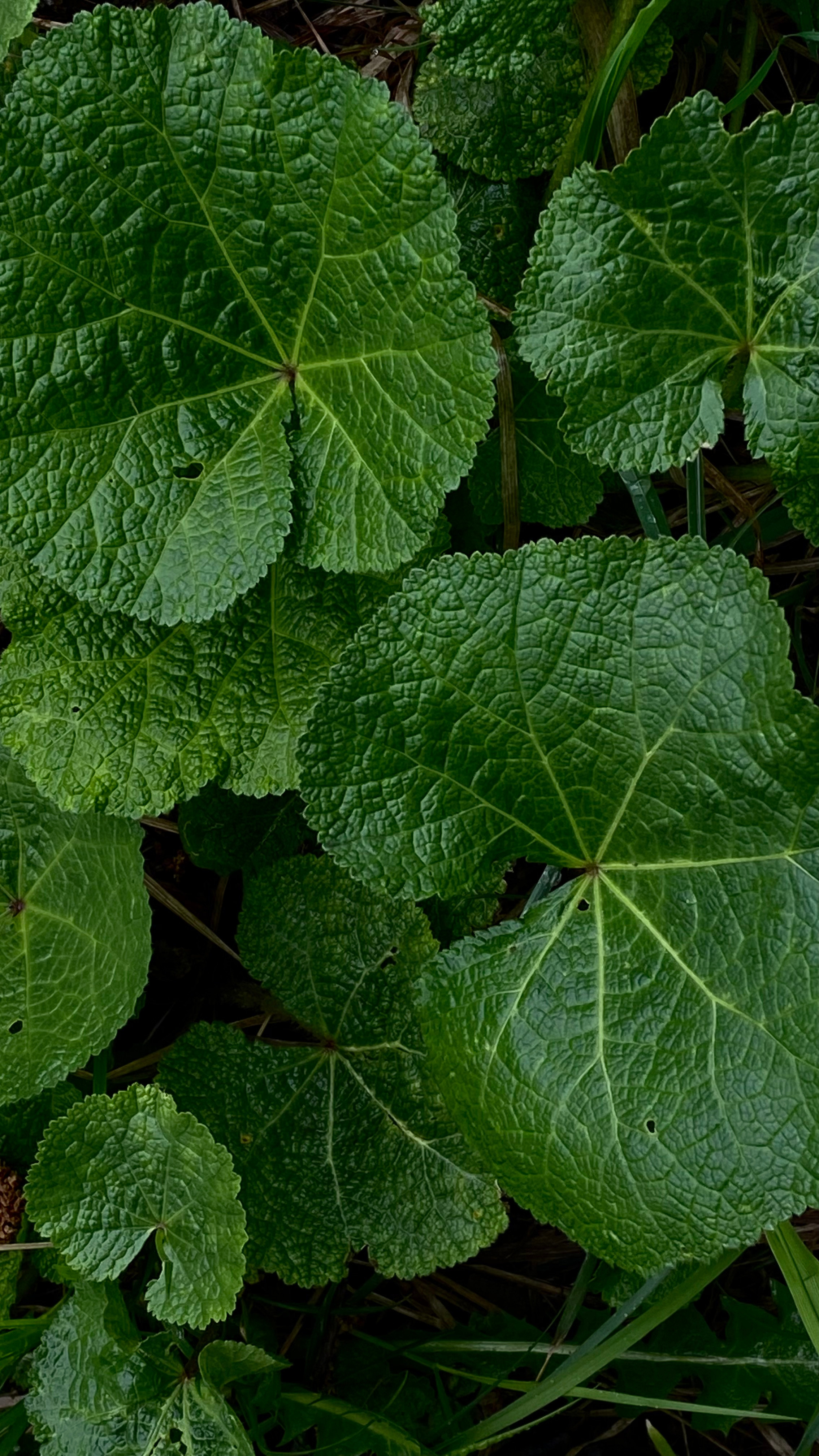 Магия тёмного кадра. Контент-фотограф в Нижнем Новгороде Антошина Ольга