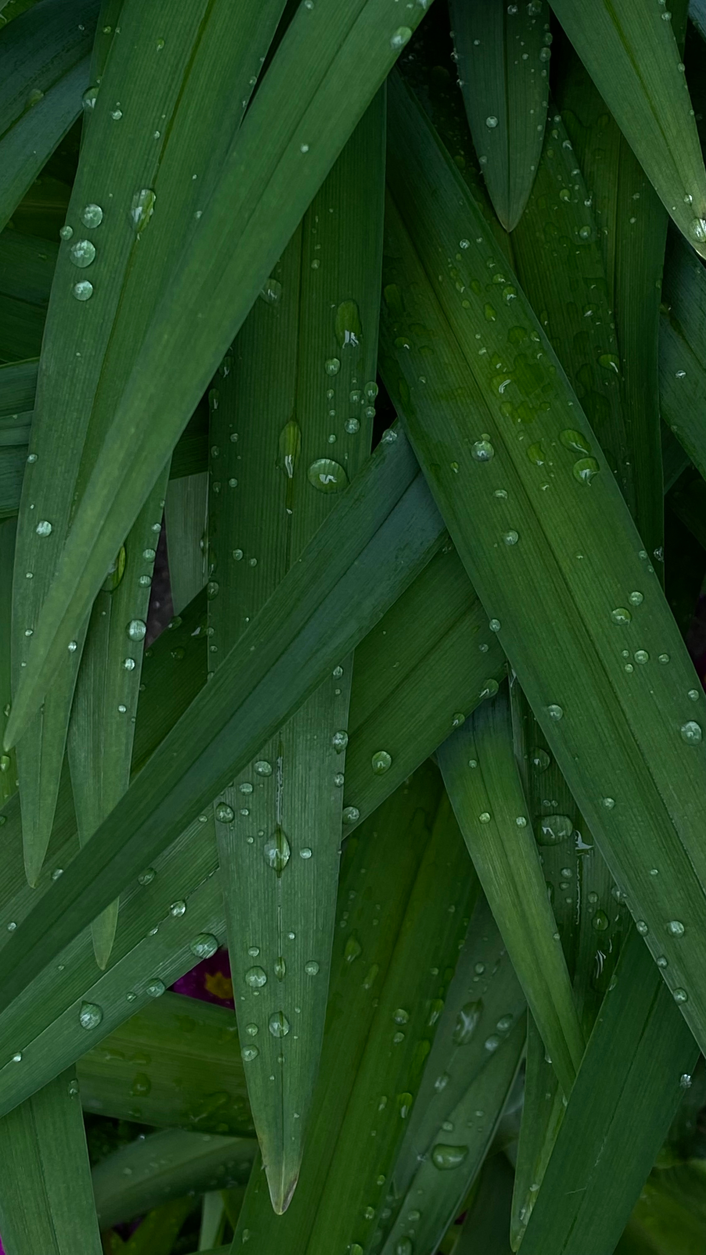 Магия тёмного кадра. Контент-фотограф в Нижнем Новгороде Антошина Ольга