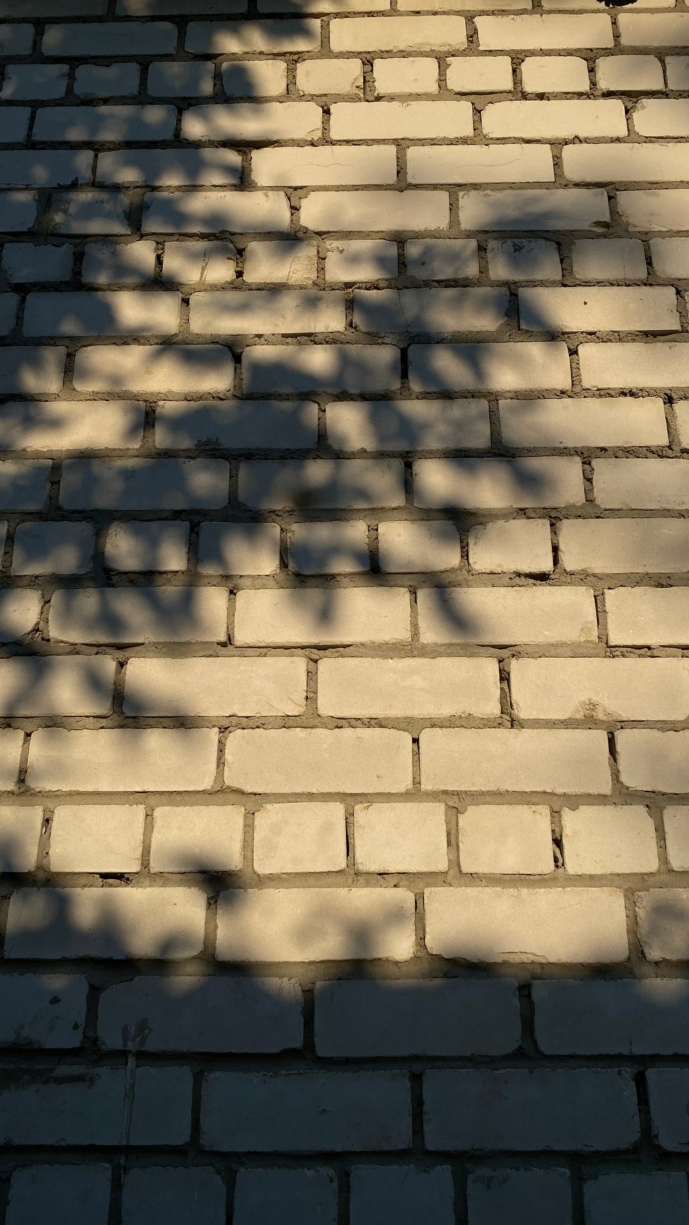 Магия тёмного кадра. Контент-фотограф в Нижнем Новгороде Антошина Ольга